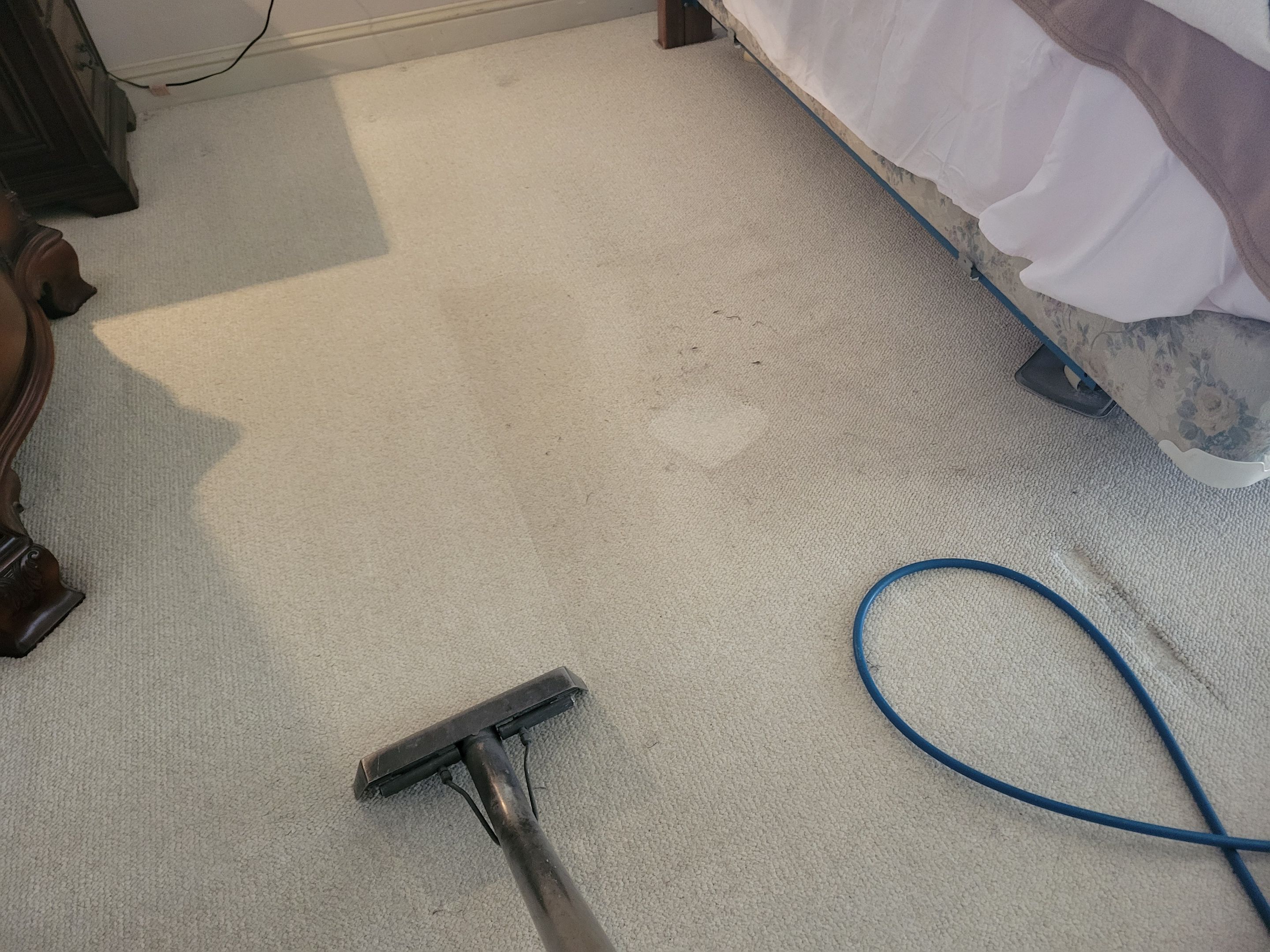 Carpet and Rug Cleaning in Pilot Hill by Ardent Carpet Restore LLC