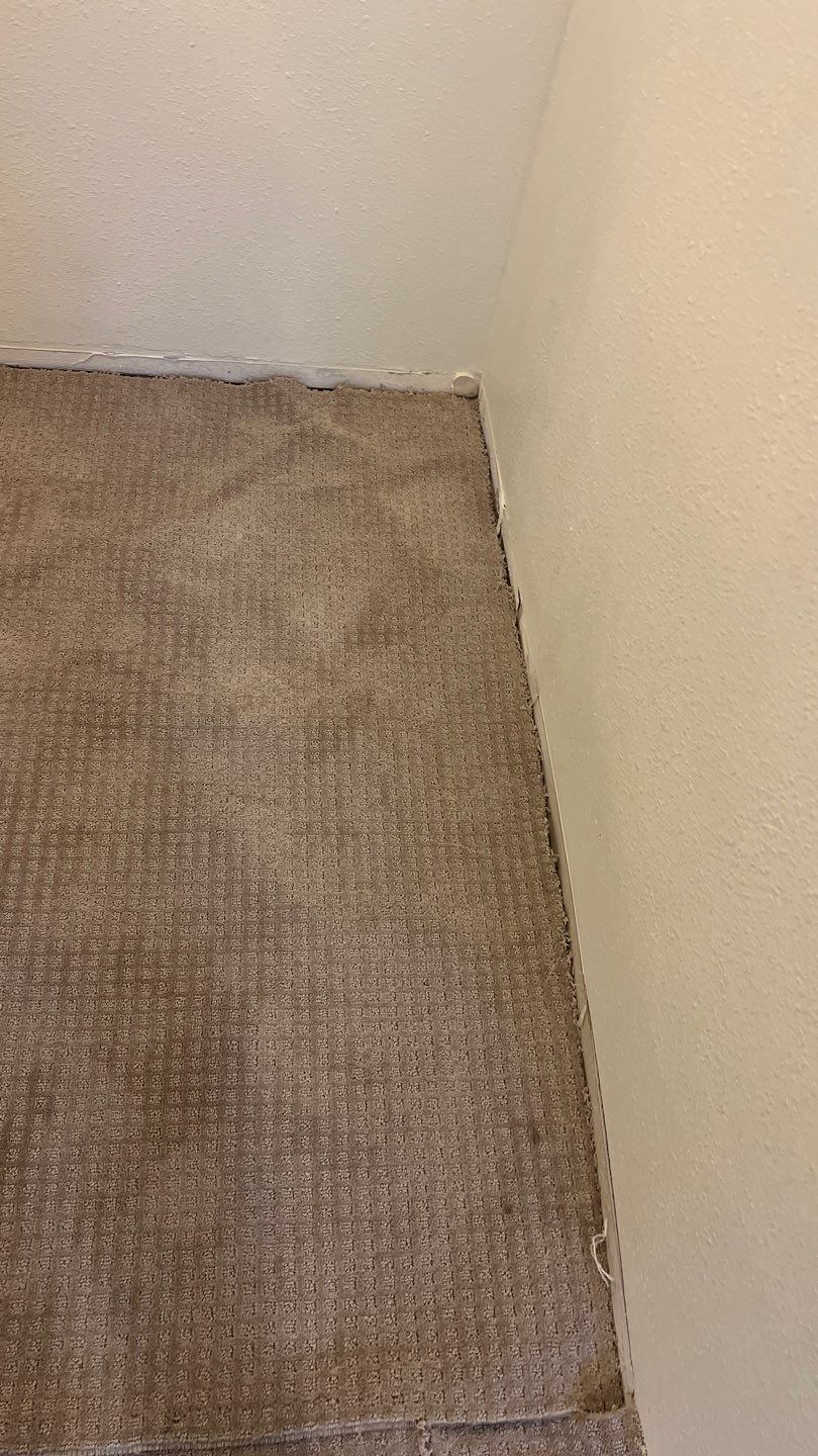 Mold Remediation by Accountable Home Services