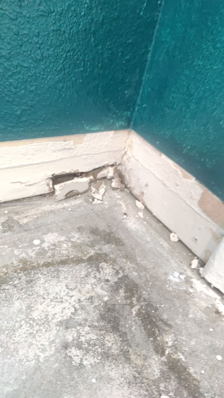 Mold Remediation by Accountable Home Services