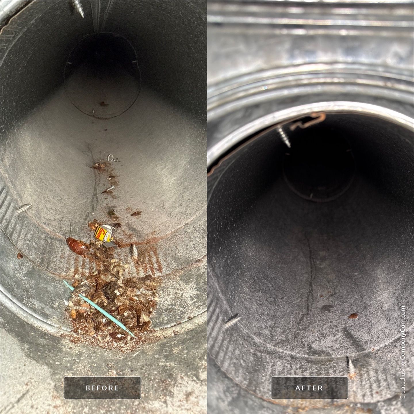 Project in Auburn by Voyager Air Duct Cleaning