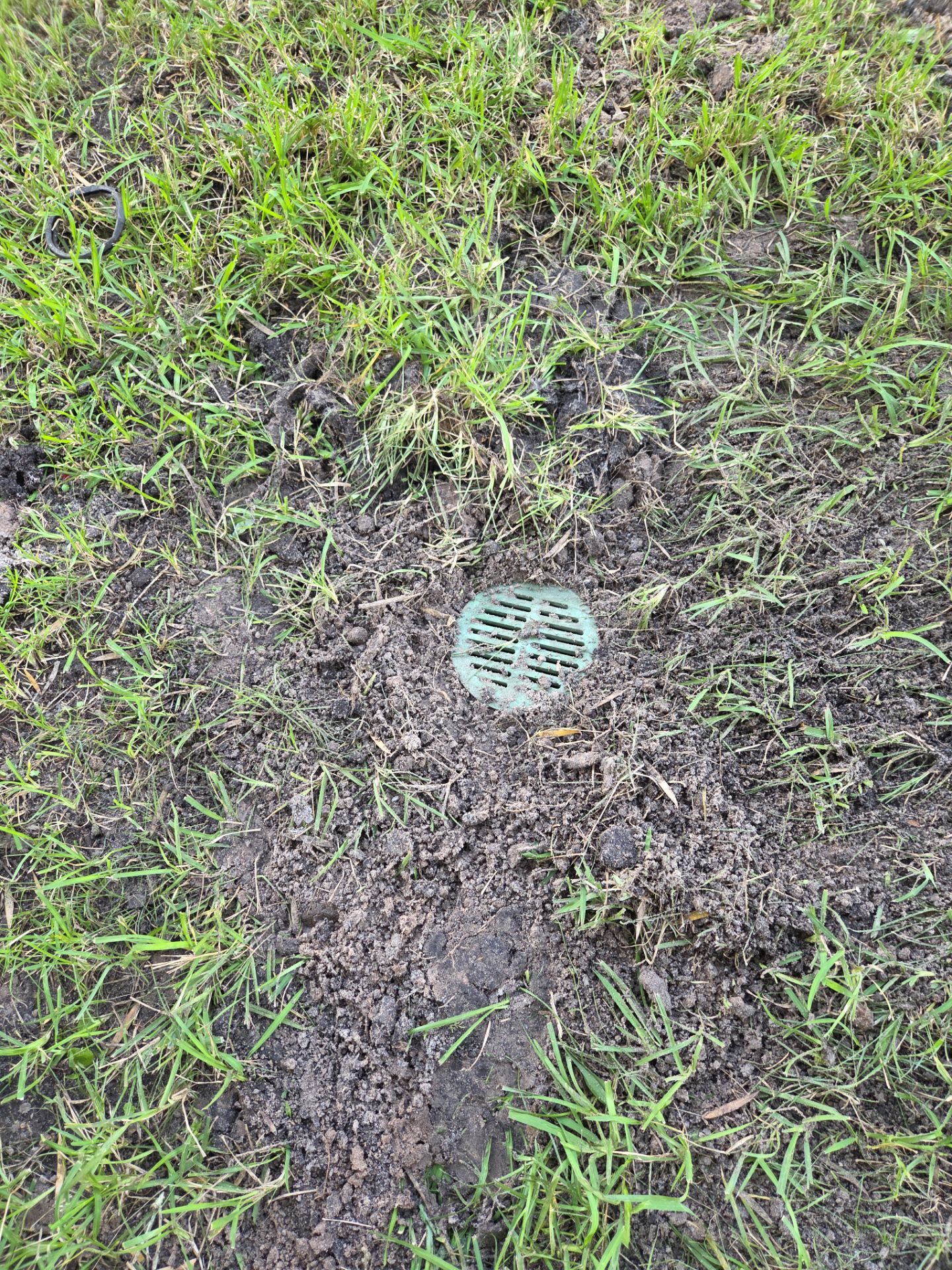 🌴 Landscape Removal and Install in Palm City by Alpha Zeta Enterprises Inc