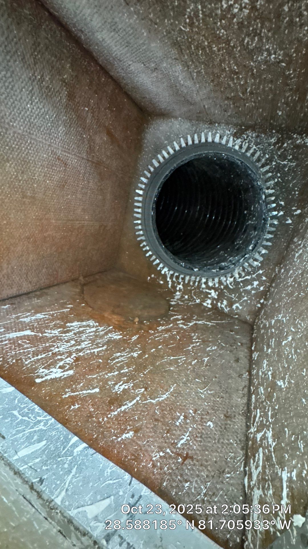 AIr Duct and Dryer Vent Cleaning in Montverde by Hygienic Air, Inc