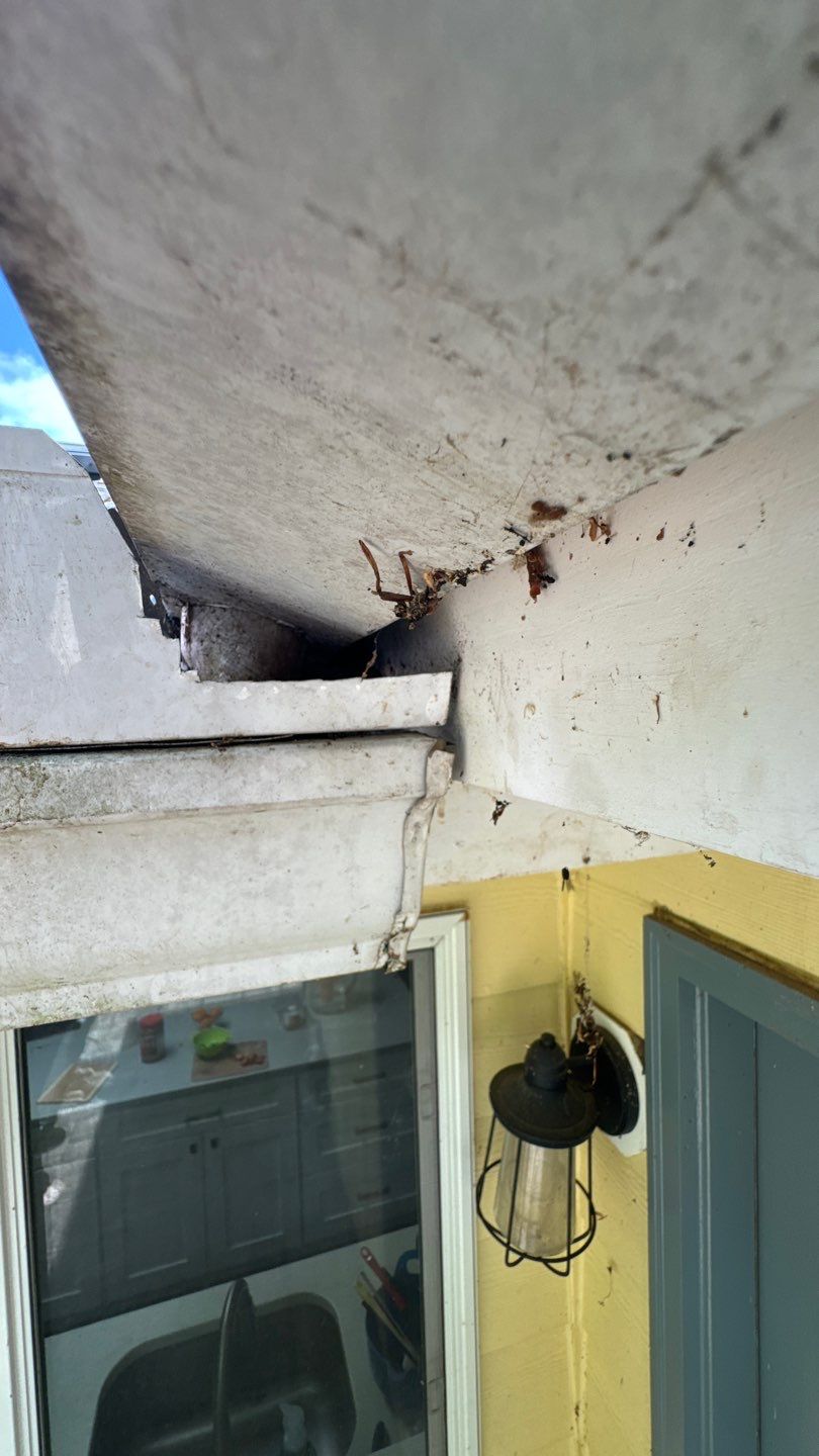 Oakton: Roof Replacement With CertainTeed Landmark Designer Shingles in Pewter by RM Banning, Inc.