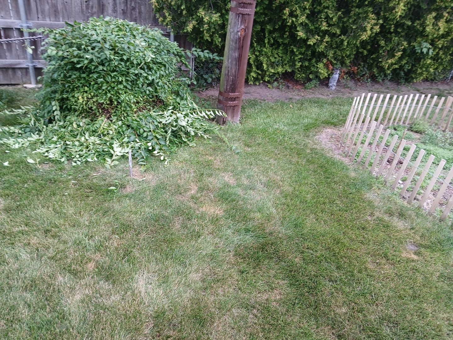 Catherine B. - Mount Prospect, IL by A&N