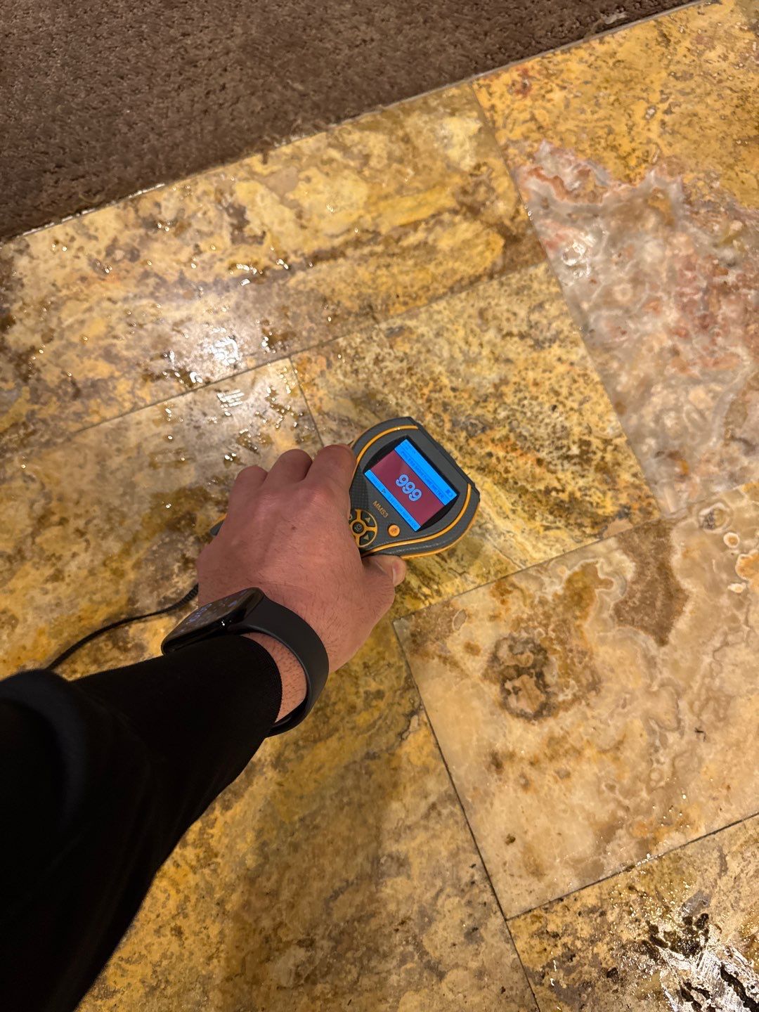 Project in Commerce Township by EzDry Water Mitigation & Property Restoration