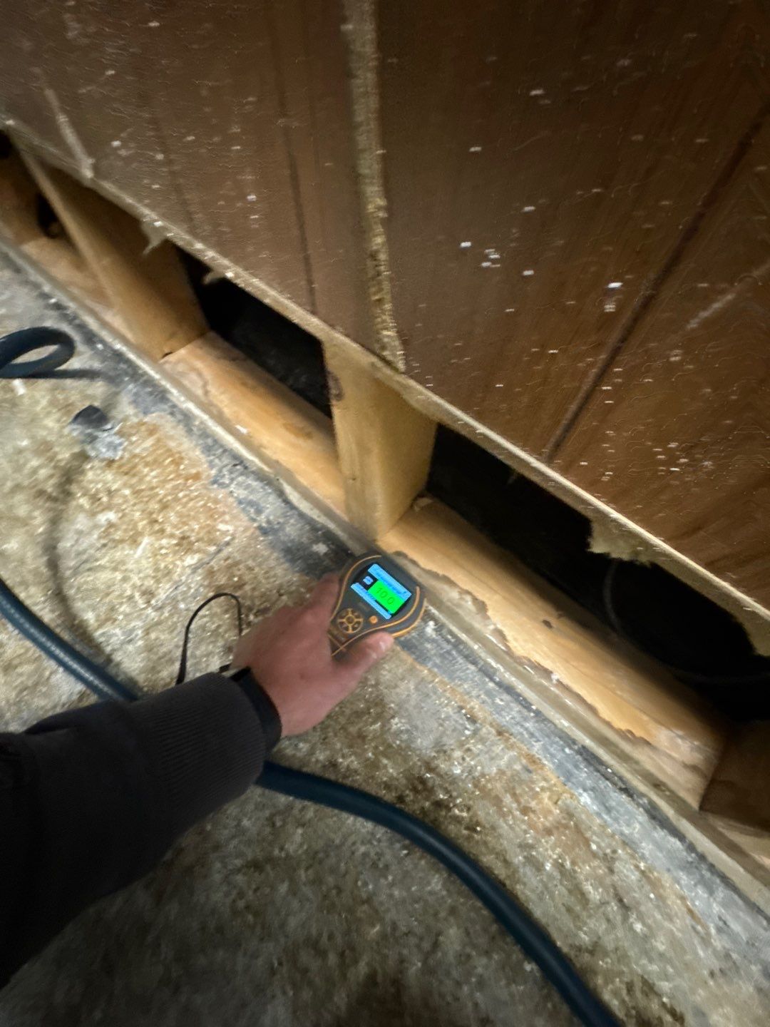 Project in Royal Oak by EzDry Water Mitigation & Property Restoration