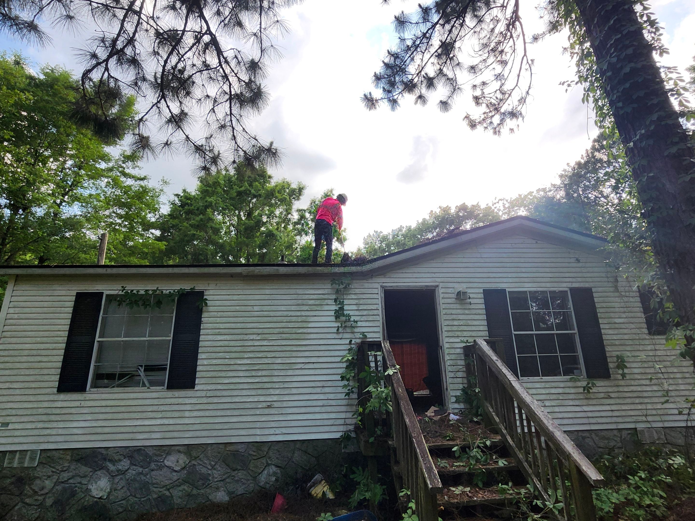 Exterior Clearing - tree trimming - grass cut by Swift Signings and Services LLC
