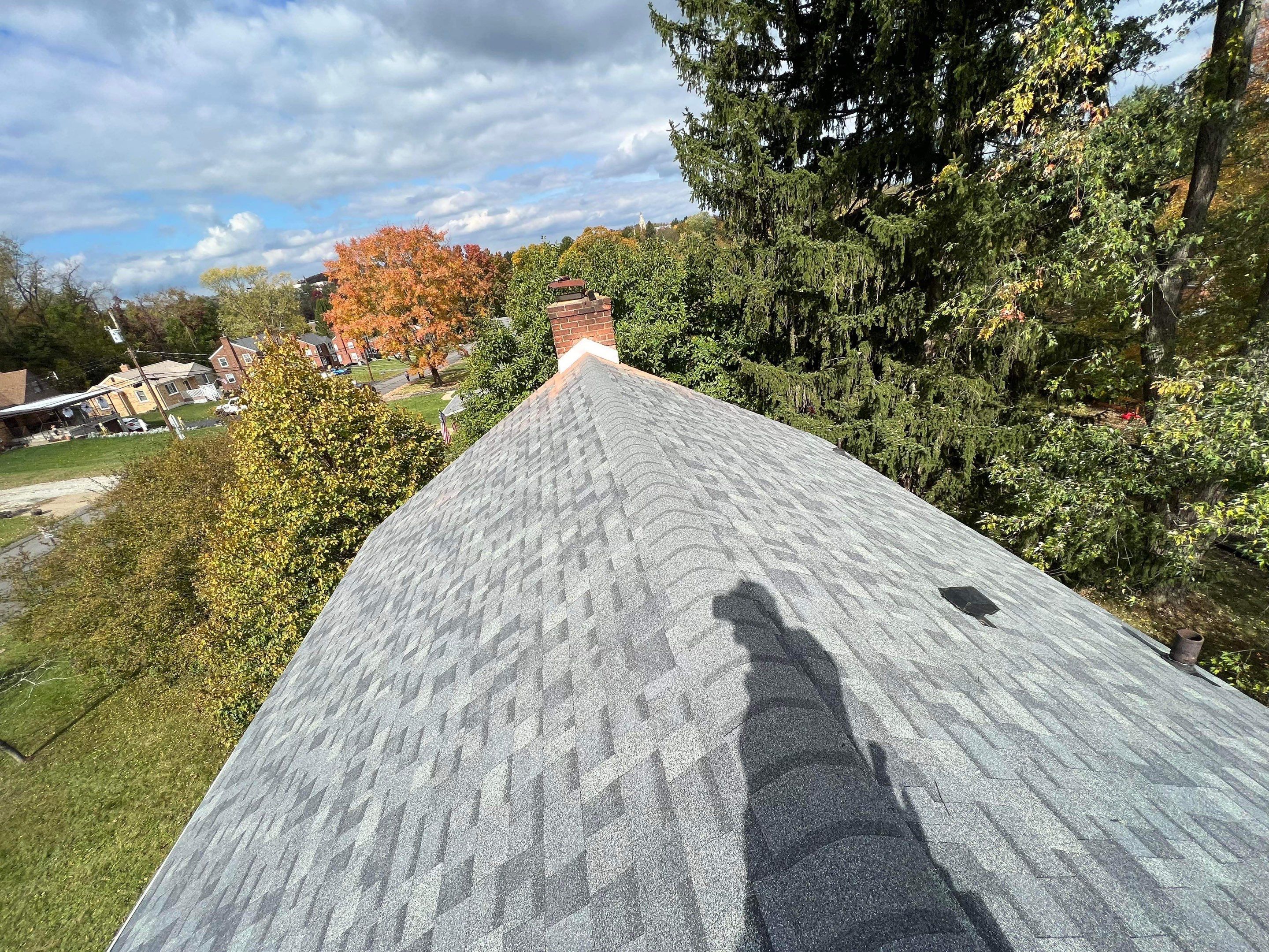 Silver Birch Shingles by Reimagine Roofing