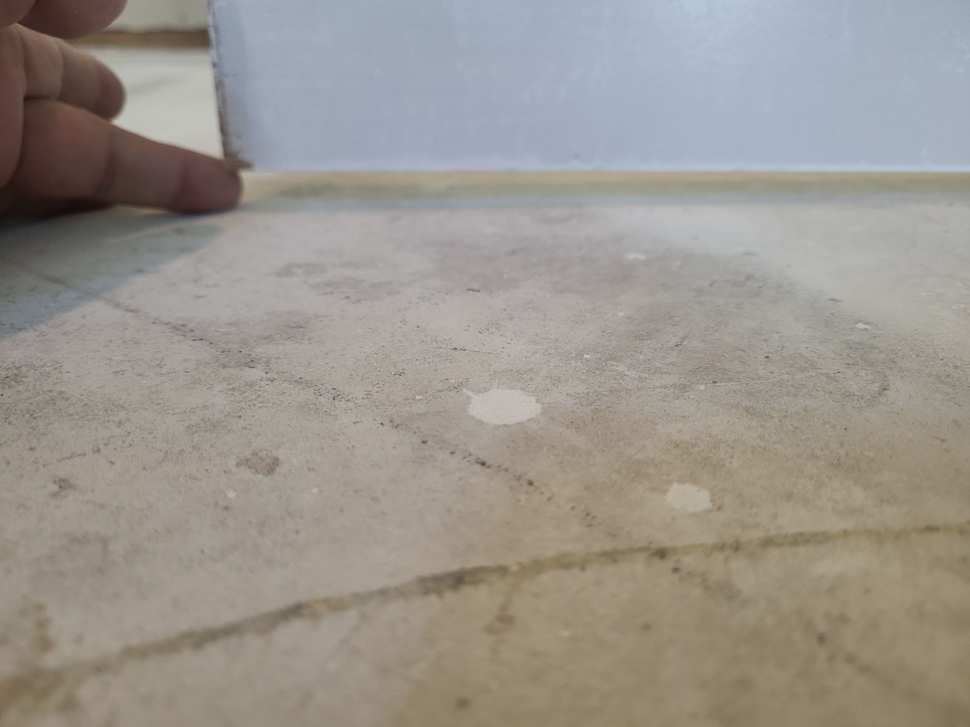 The Napolitano Family by SophAlx LLC