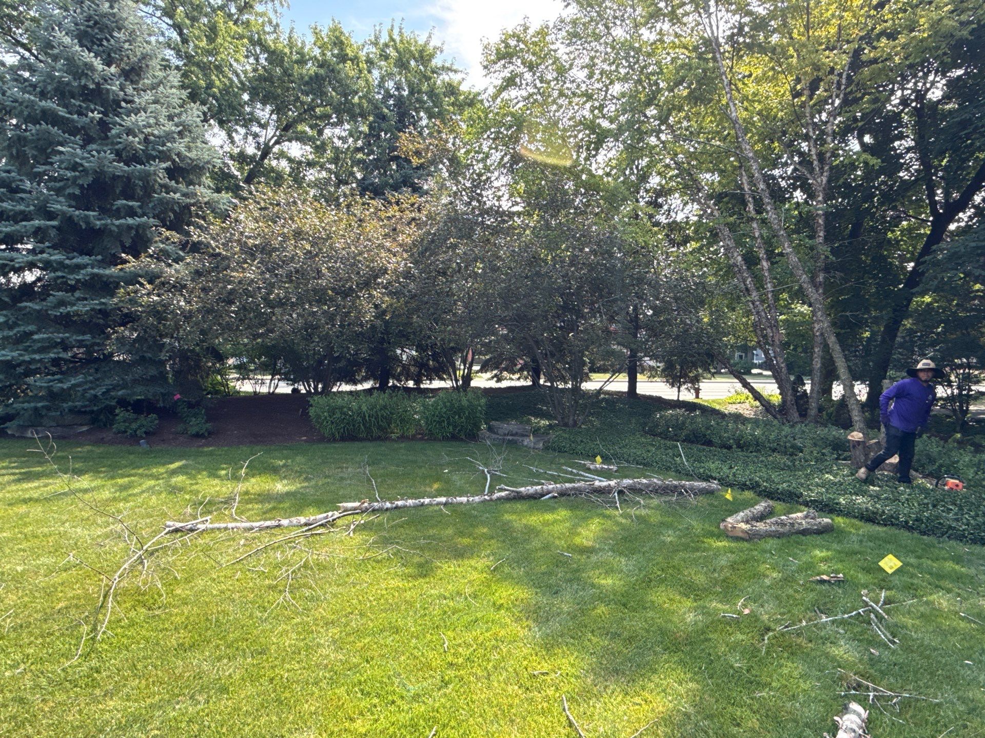 Scott M. - Arlington Heights, IL by A&N