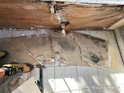 Roof Leak Water Damage — Naples, FL