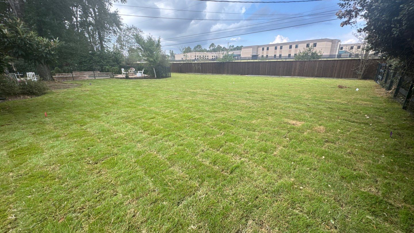 Mr. Jeff — Backyard Drainage & Grading Improvement by Texas Urban Elements