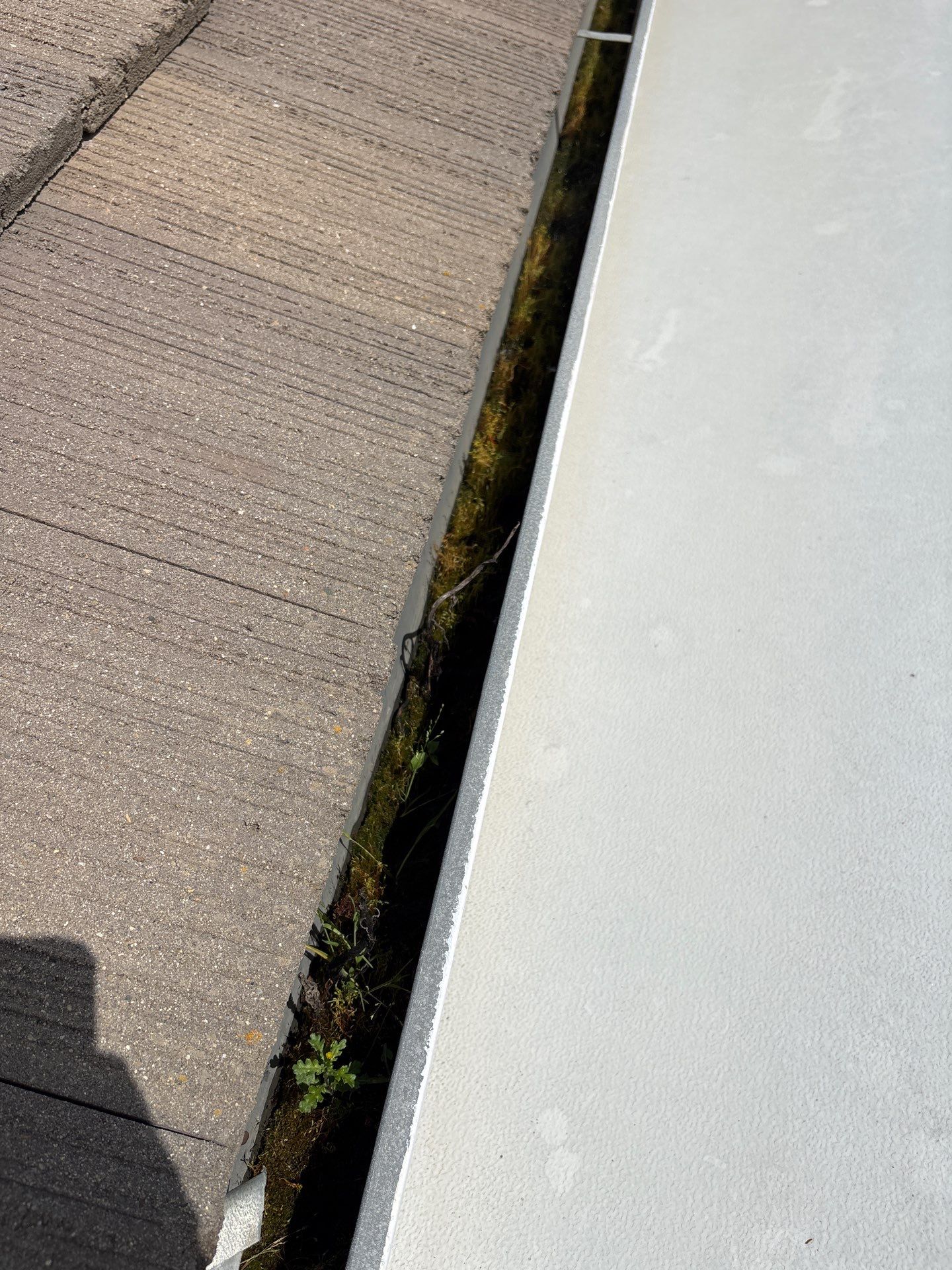 Moss Removal by Top Elevation