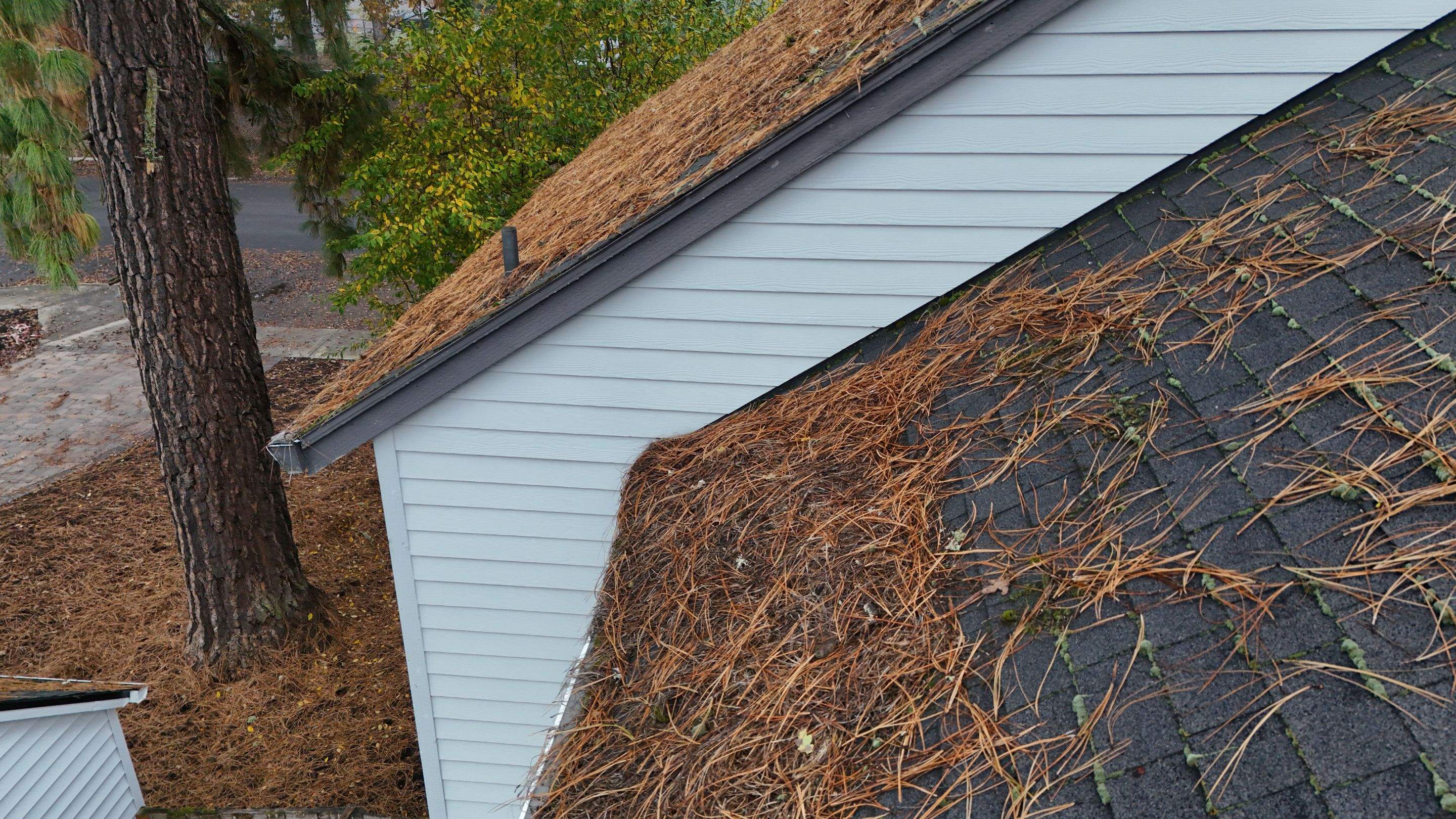 Severe Roof Maintenance in Beaverton by Prodigy Roof Solutions