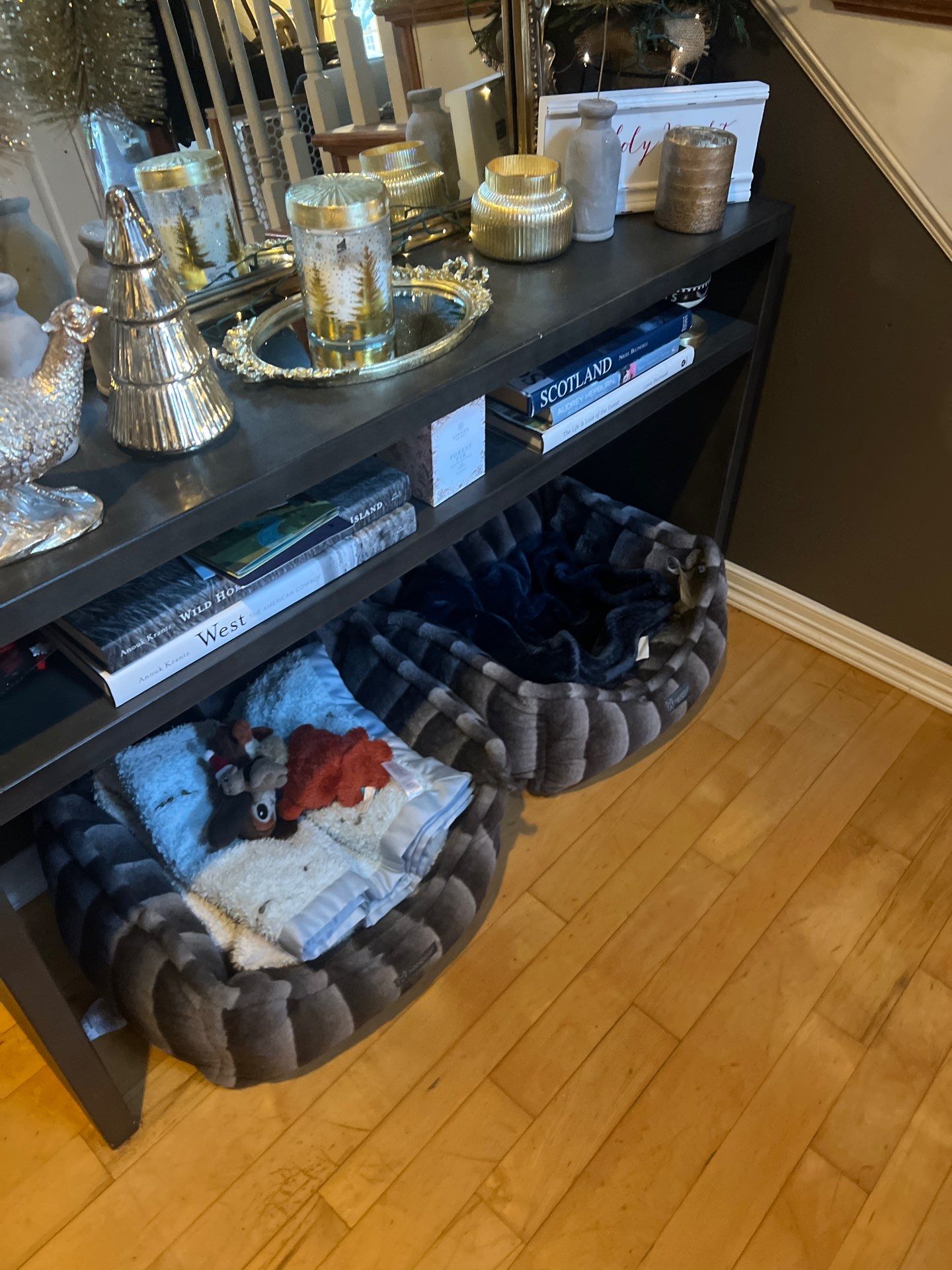 Maid service cleaning Project in Tigard by Cloud 9 Professional Cleaning Services