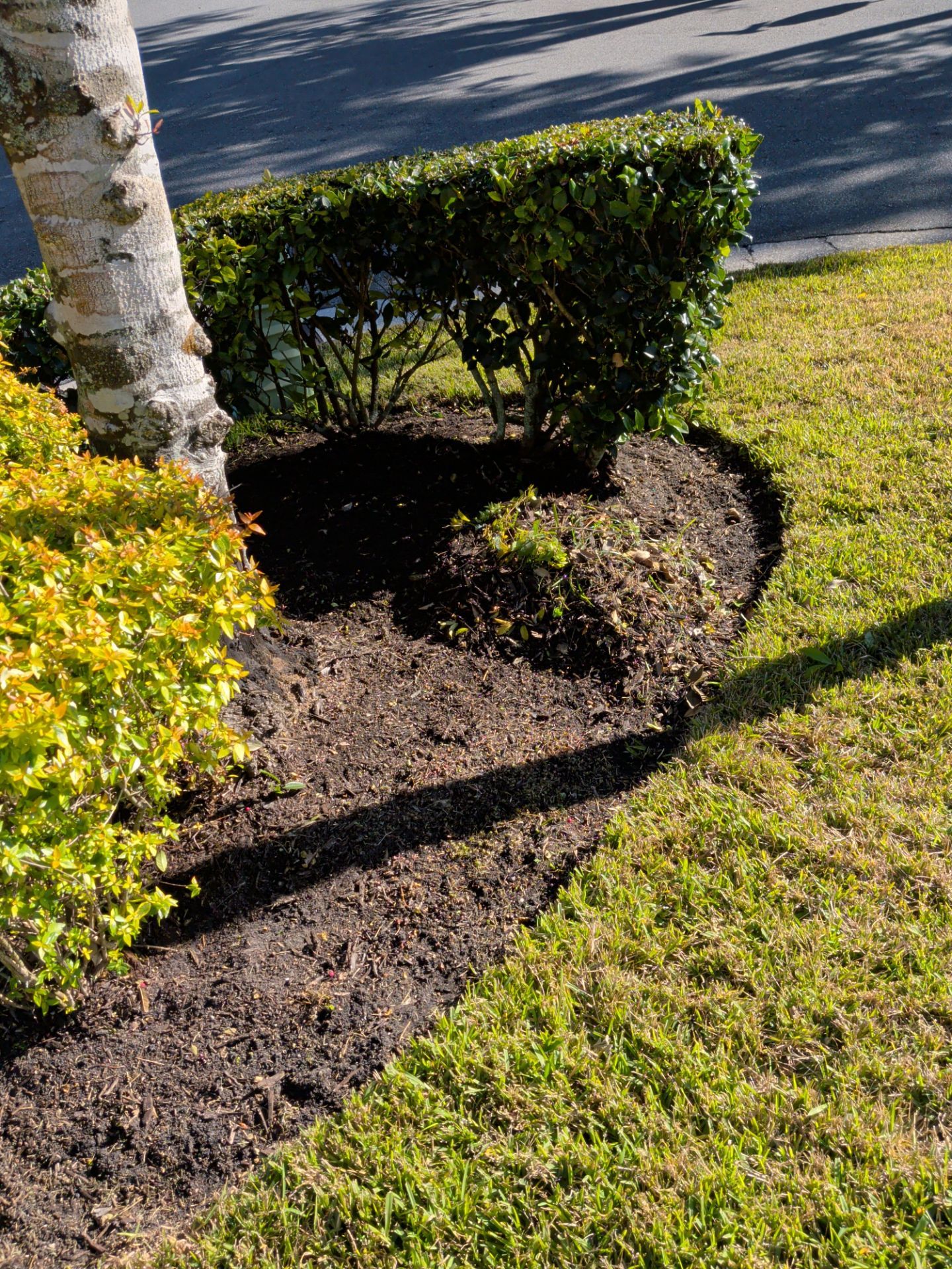 Flower Bed Cleanup & Mulch Preparation — Jacksonville Beach by Harmoni Home Services