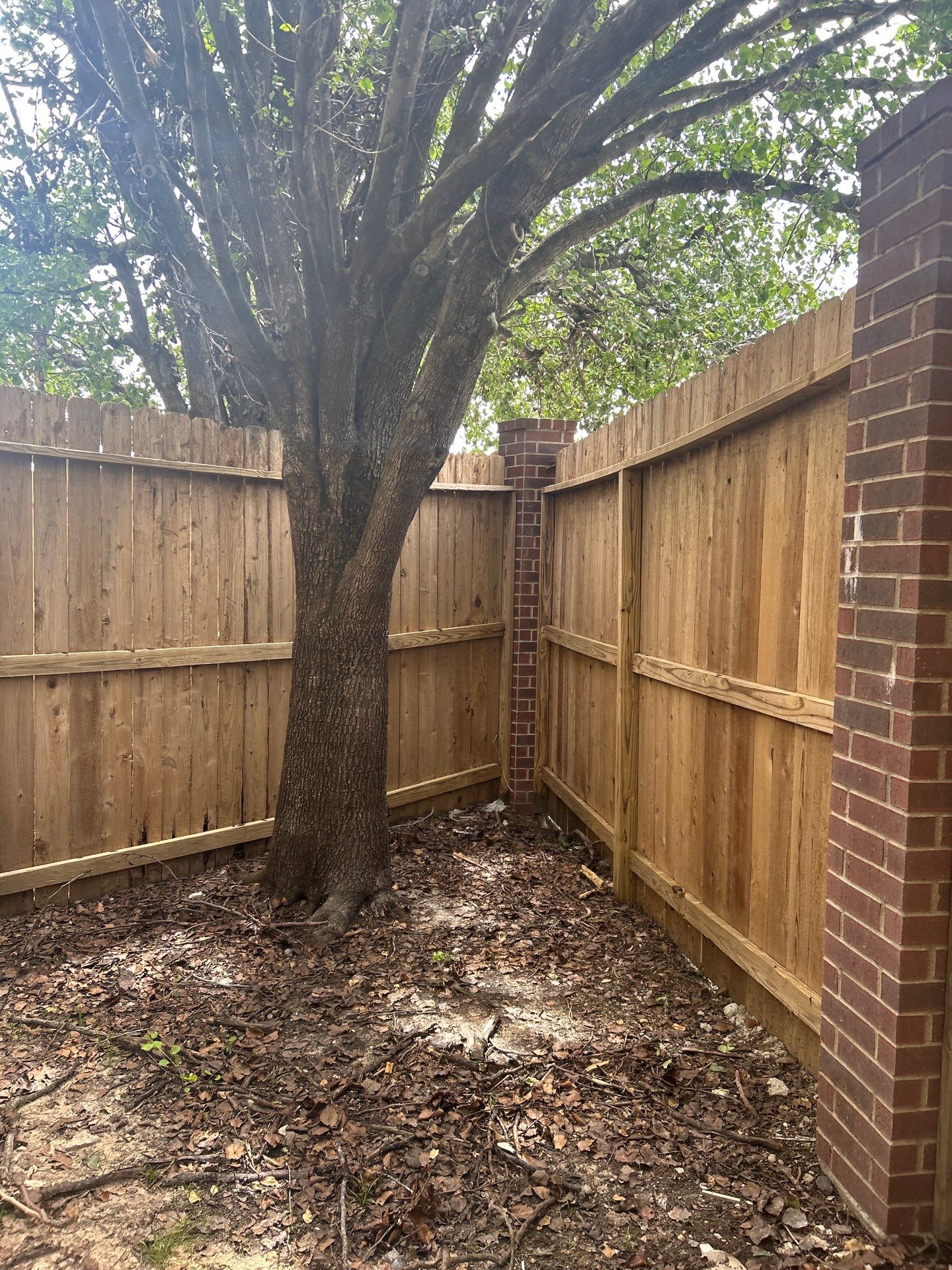 🌿✨ Project Spotlight: A Backyard Transformation for Mr. & Mrs. Parra by Texas Urban Elements