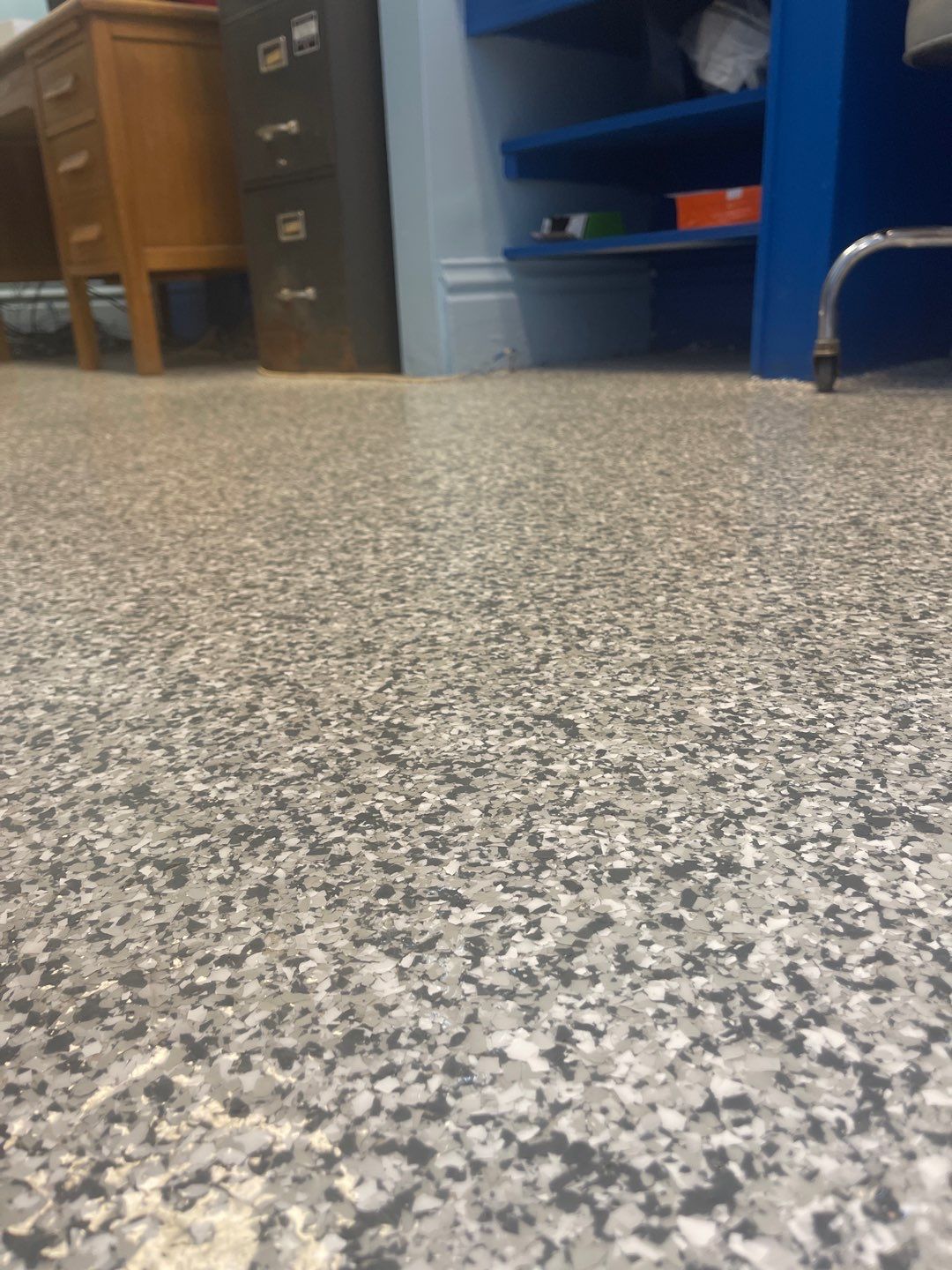 Cat Hospital Project in Pittsburgh by Floors in a Day, Inc