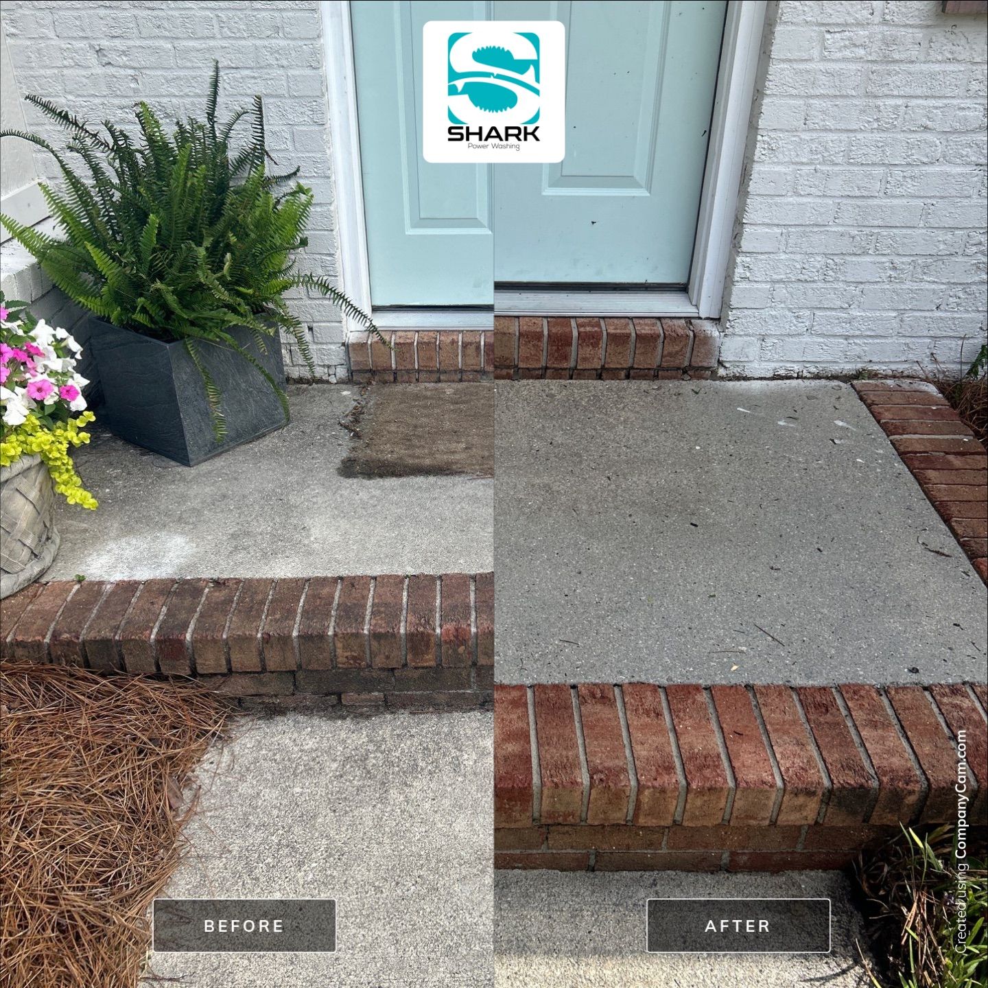 House Washing in Wilmington by Shark Power Washing
