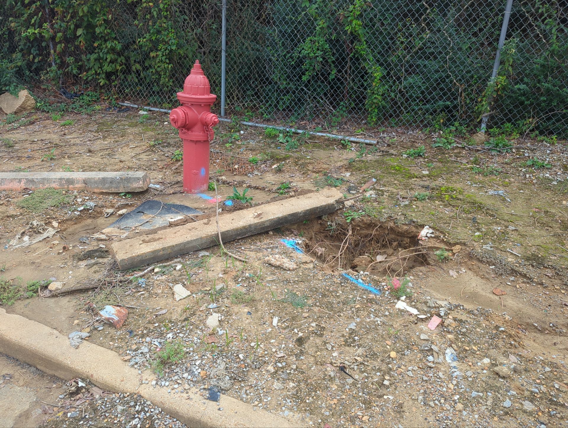 Comprehensive Utility Mapping and Ground Marking at a Memphis Industrial Site by Alsip Locating Service, LLC