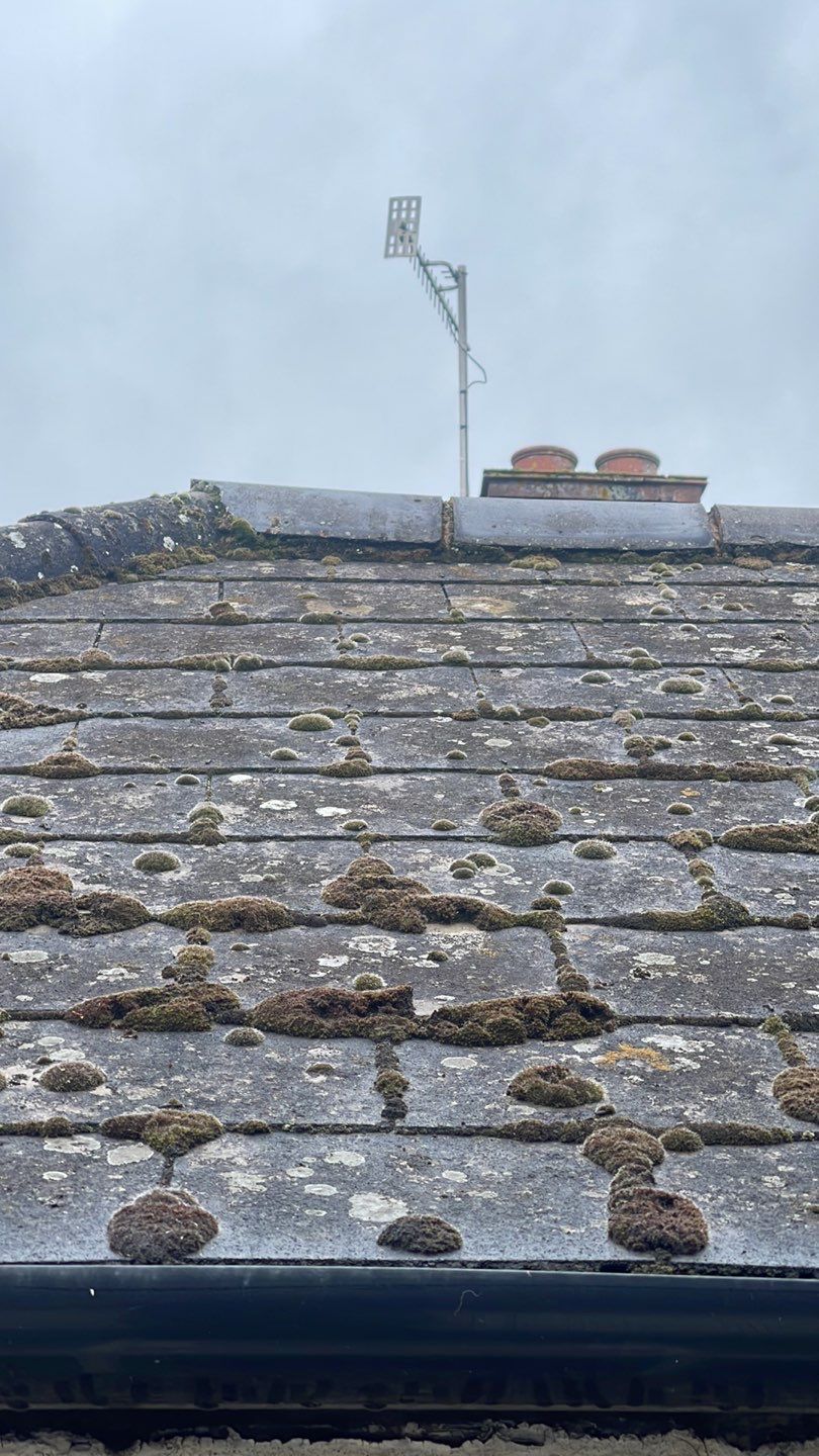 Roof Clean  - Moss Removal - Gutter Clean using Honda 15lpm Low Pressure Washing Machine by Ges Exterior Cleaning ltd