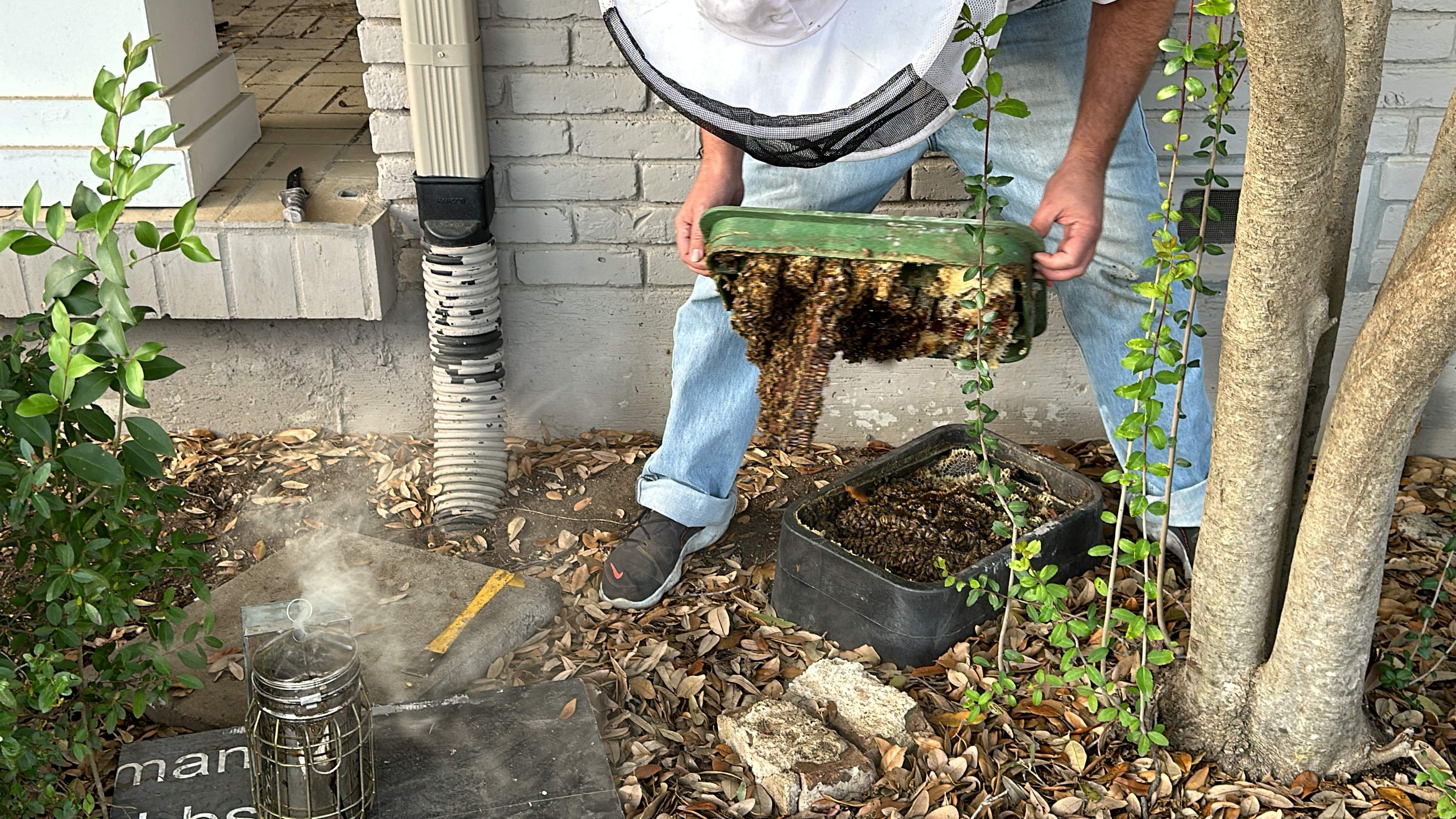 Irrigation Box Swarm by Rockwall Honey Bee Company