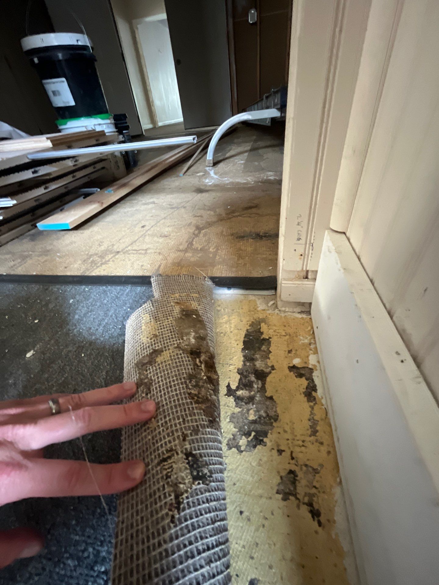 Commercial Abatement by EAS Environmental, LLC.