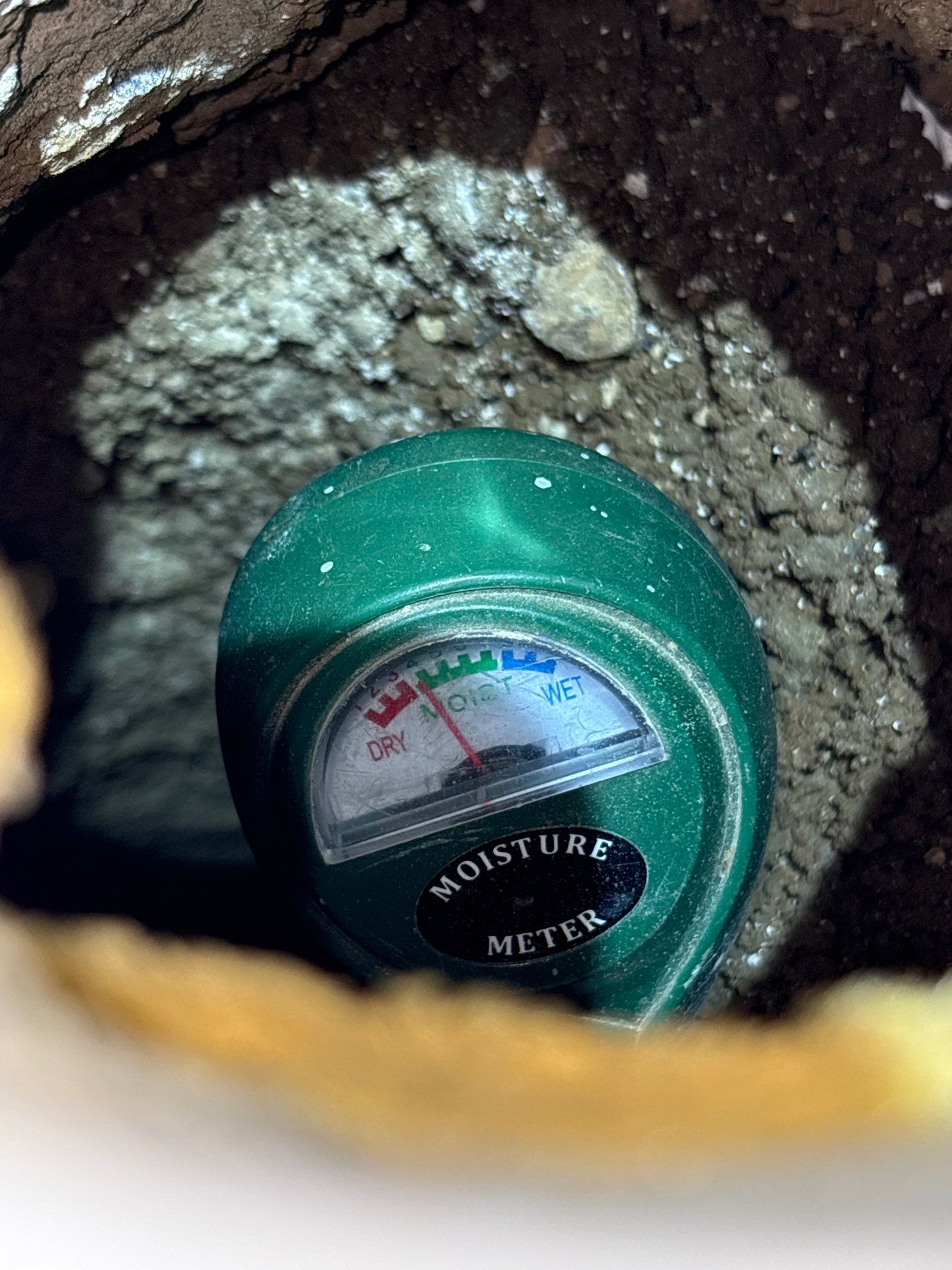 Vancouver Project by JustRadon.Com