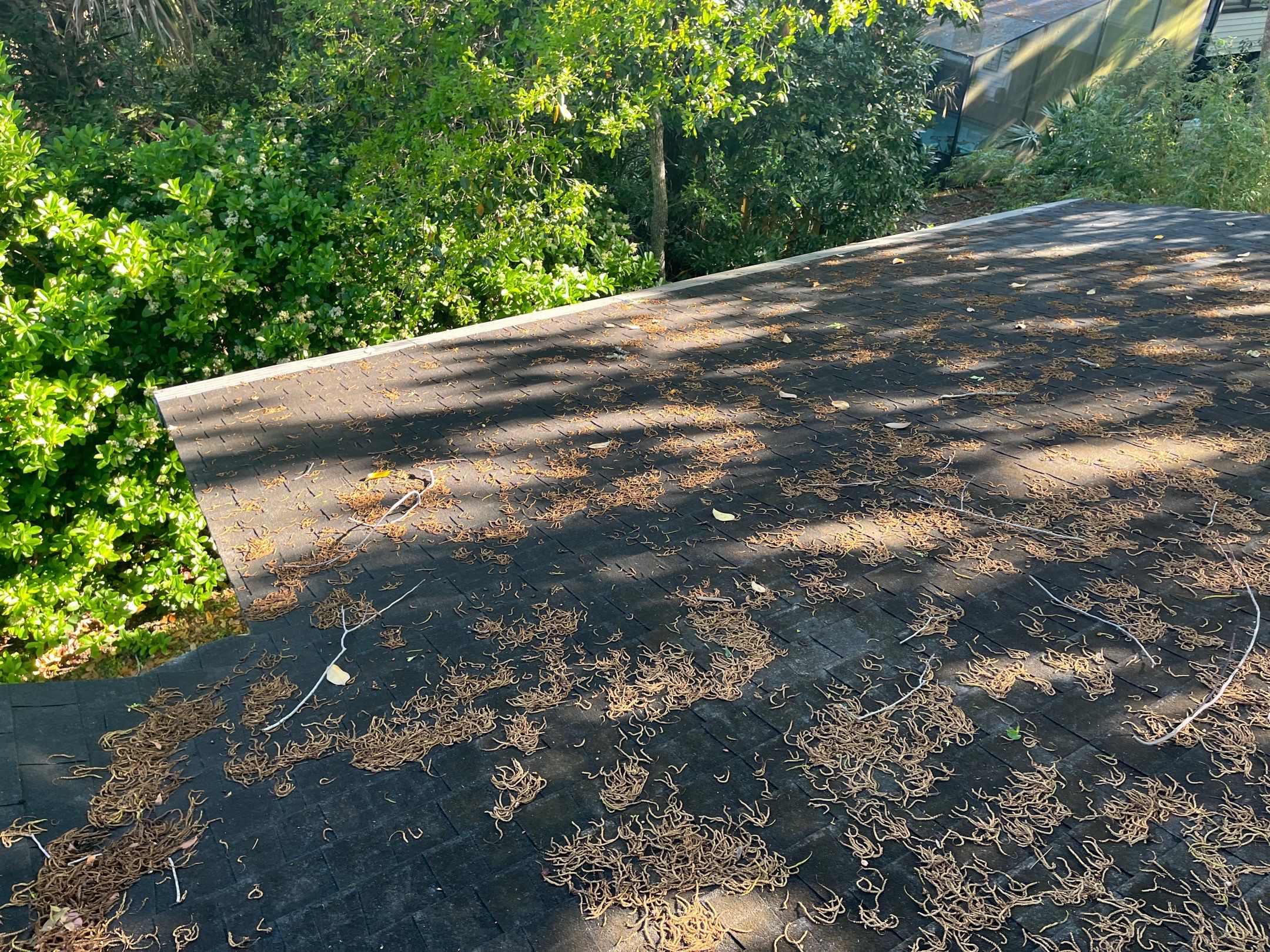 Shingle -> Metal by Prime Roofing