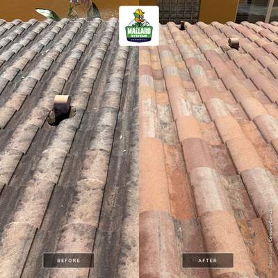 Residential Tile Roof Cleaning in Maitland, FL