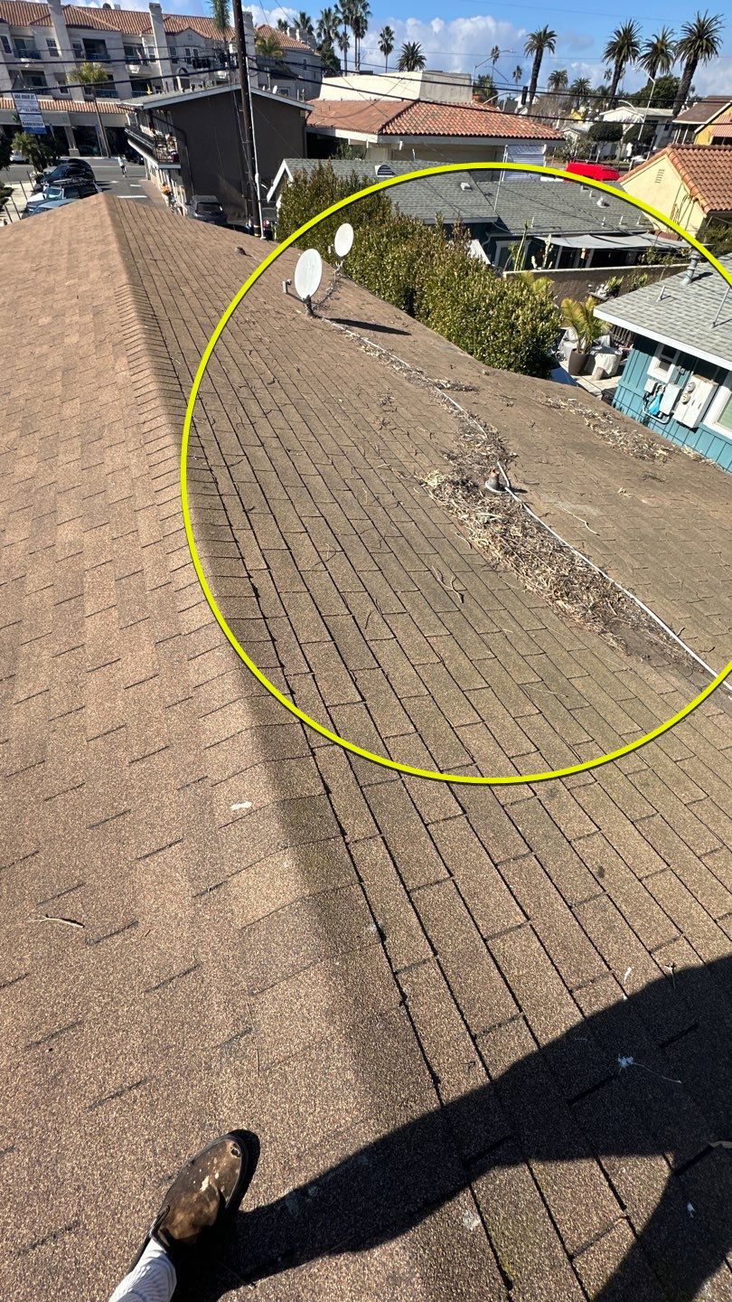 Huntington Beach Shingle Roof Wash - Insurance Renewal by Property Cleaning Experts