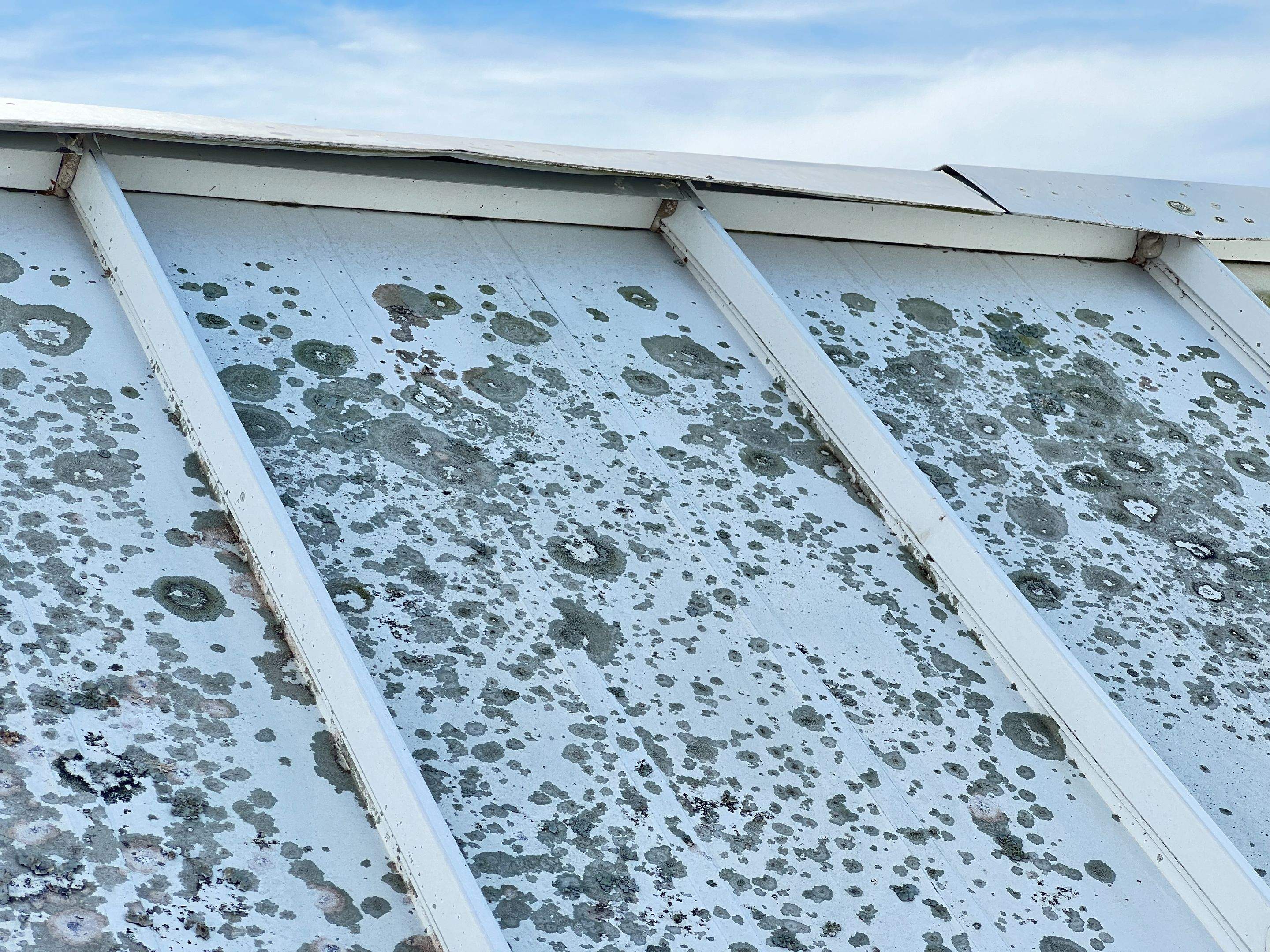 Roof Damage Claim in Sarasota by FLAPA & KeyStone