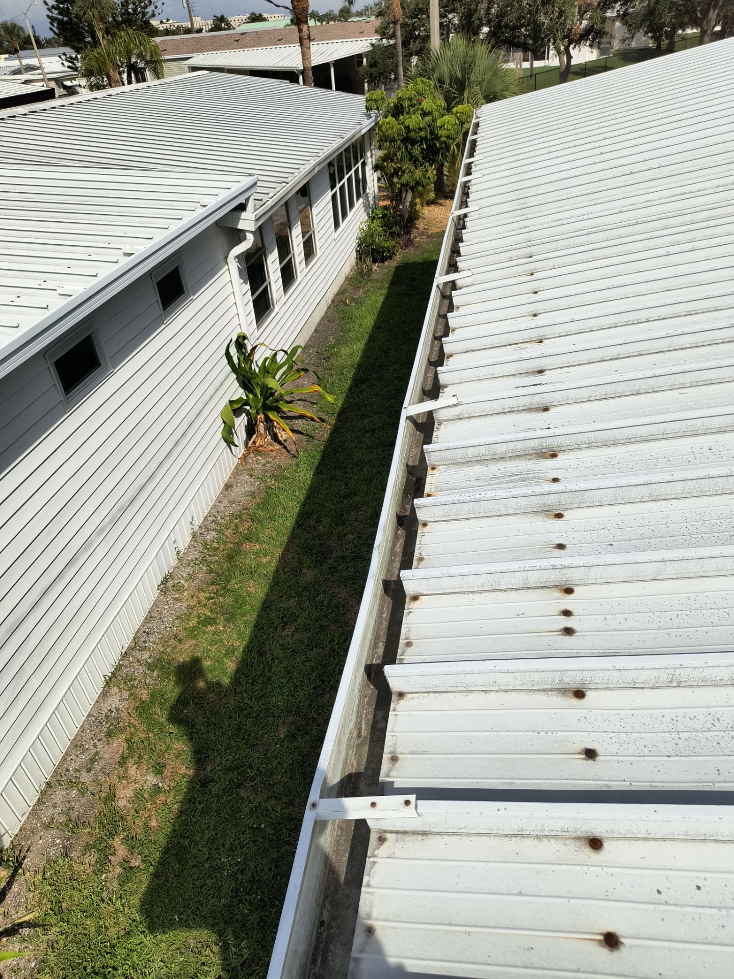 Professional Gutter Cleaning in Venice FL by Gutter Professors