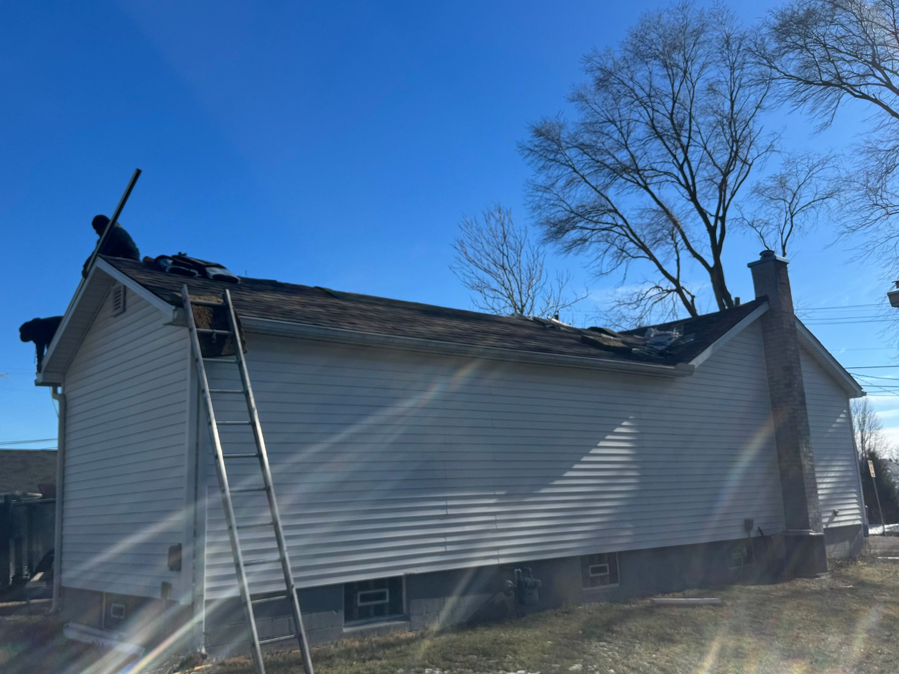 Sharkey Roof by Erie Home