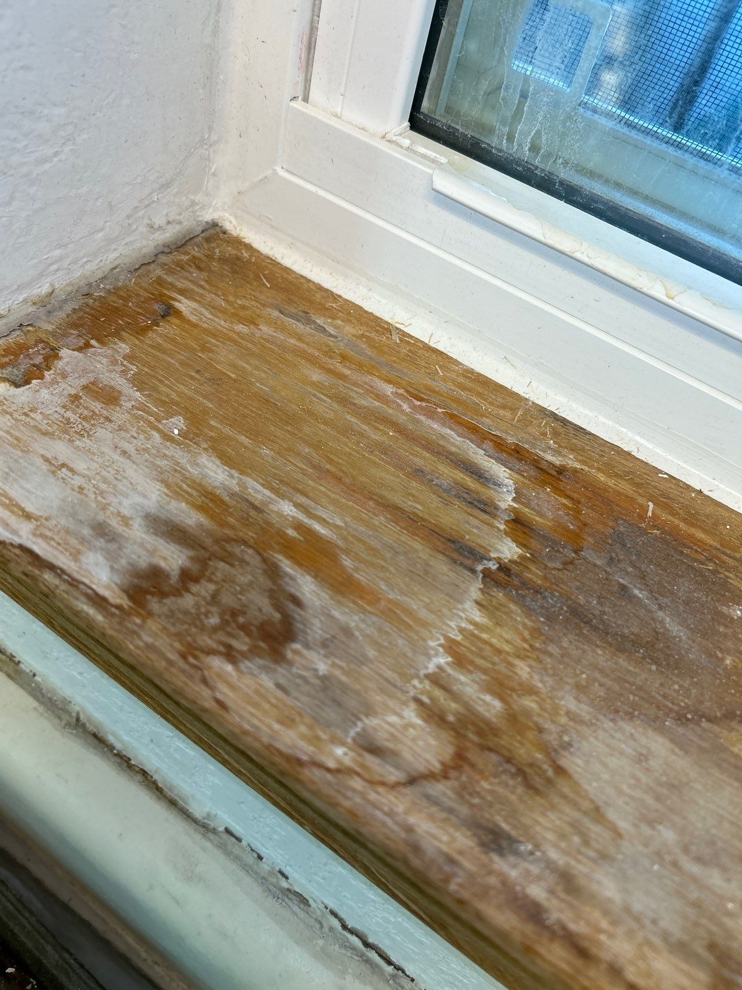 Water Damage by Accountable Home Services