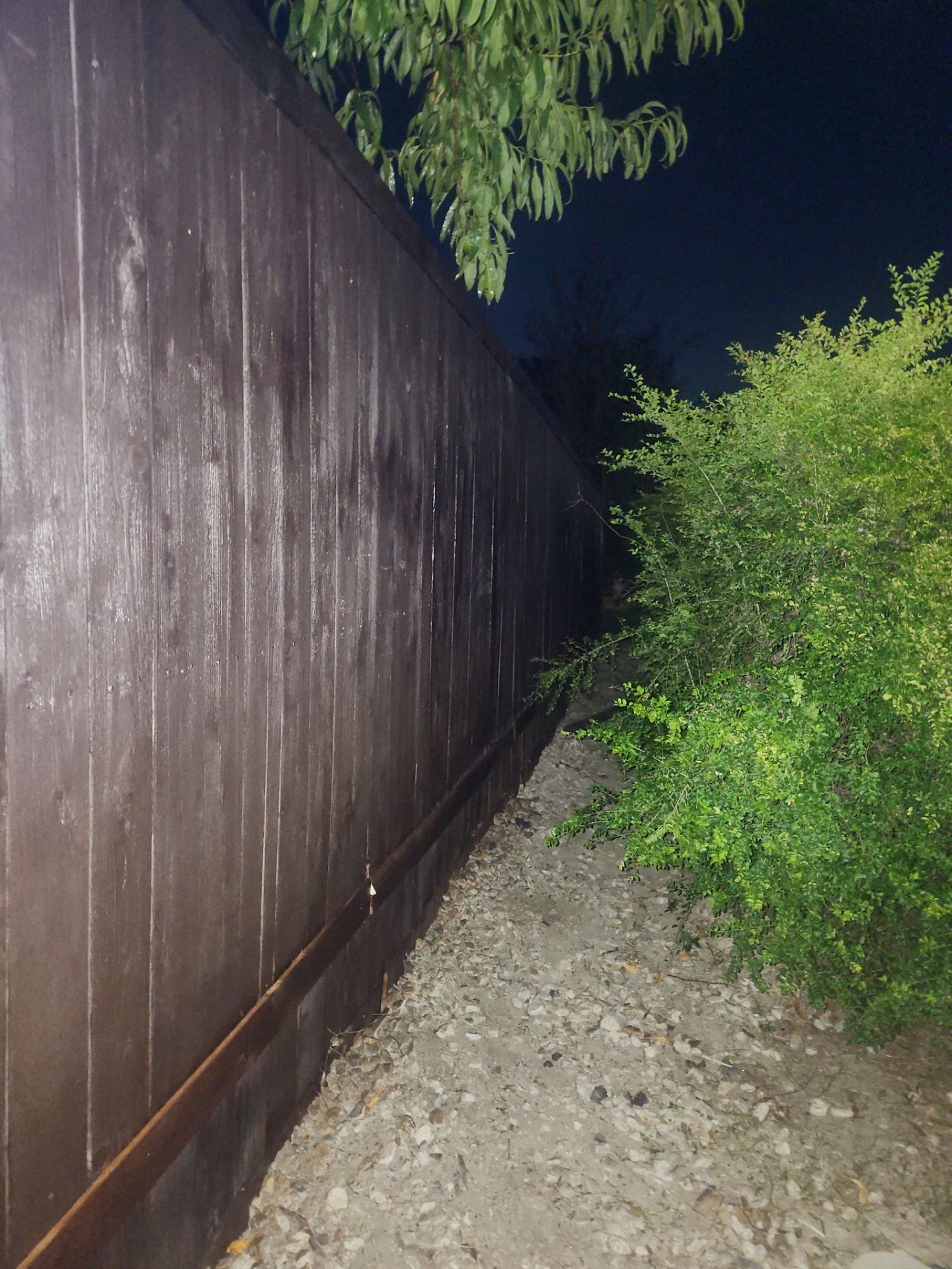 Performance 1 Roofing & Construction featured photo.