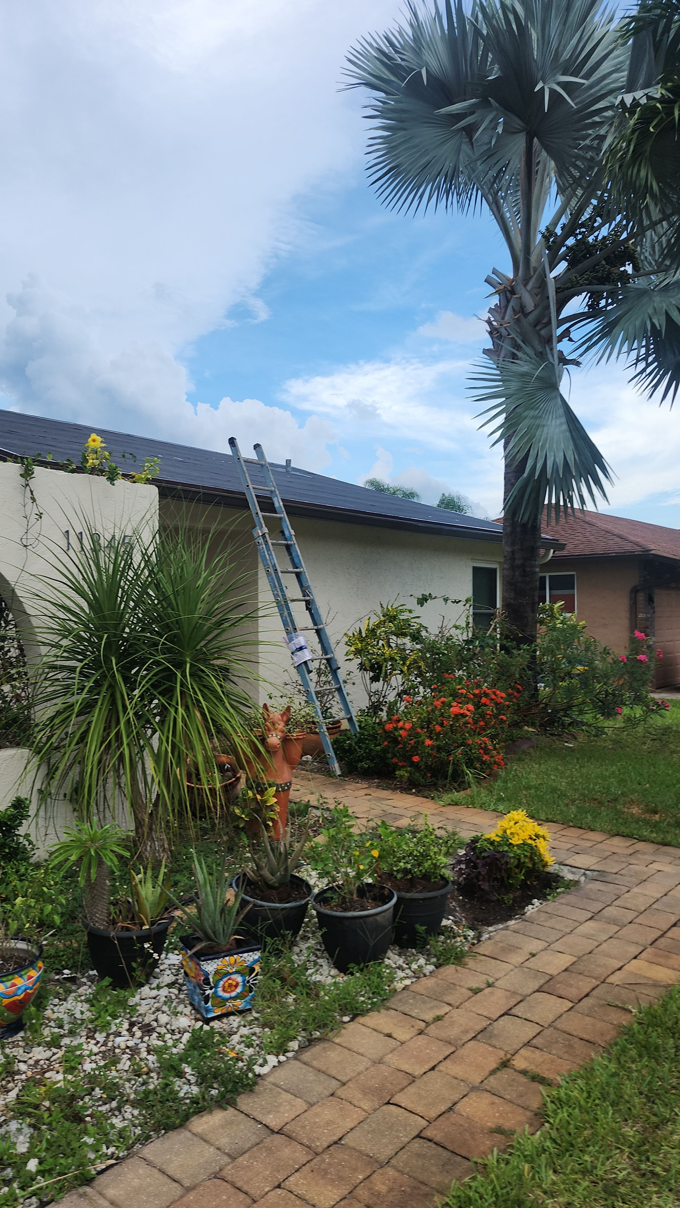 Asphalt Shingle Roof Replacement and Underlayment Installation in Boca Raton by Aastro Roofing