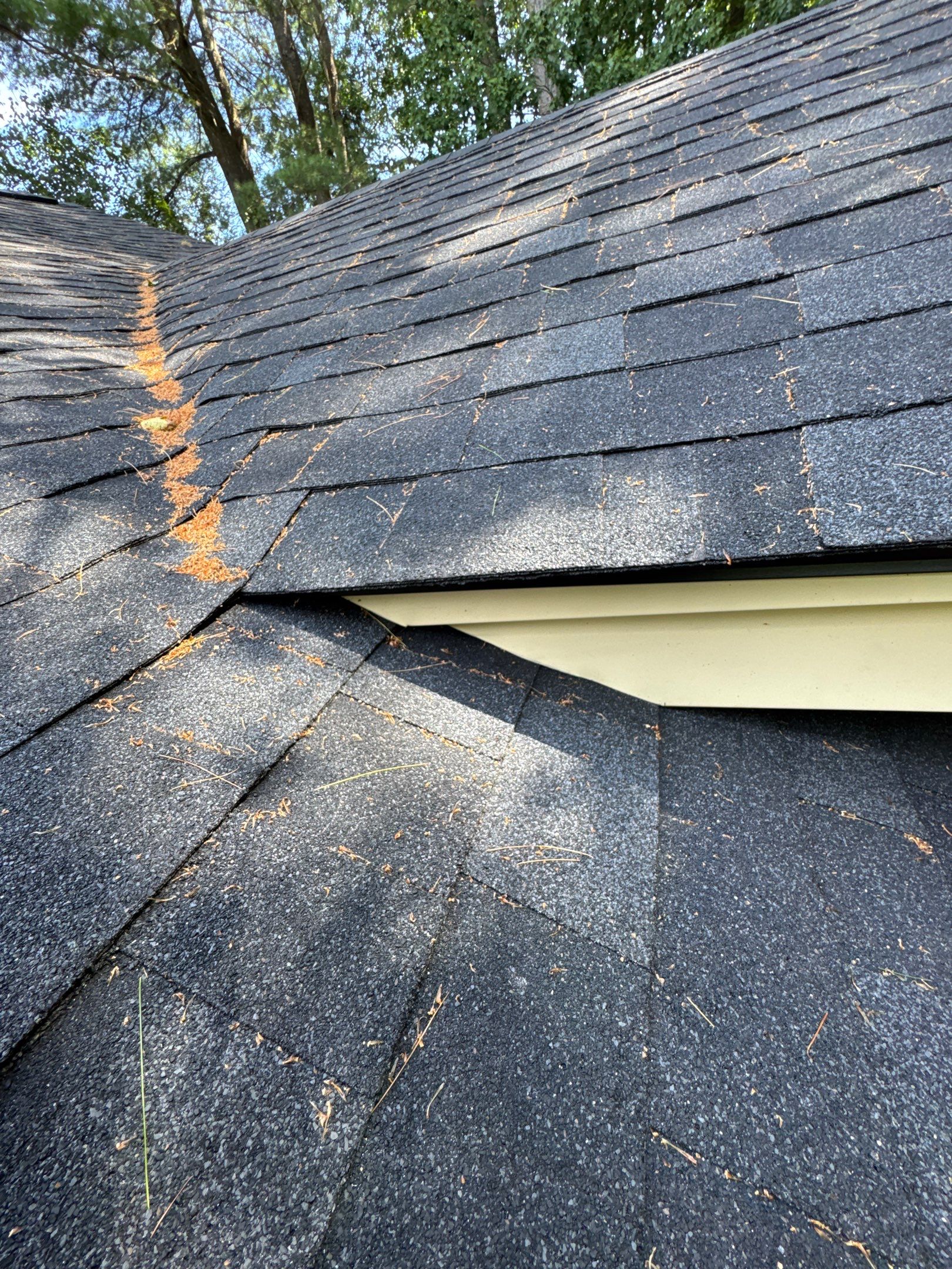 Roof Replacement in Stratham, NH - OC Onyx Black w/ Black Drip Edge by Compass exteriors