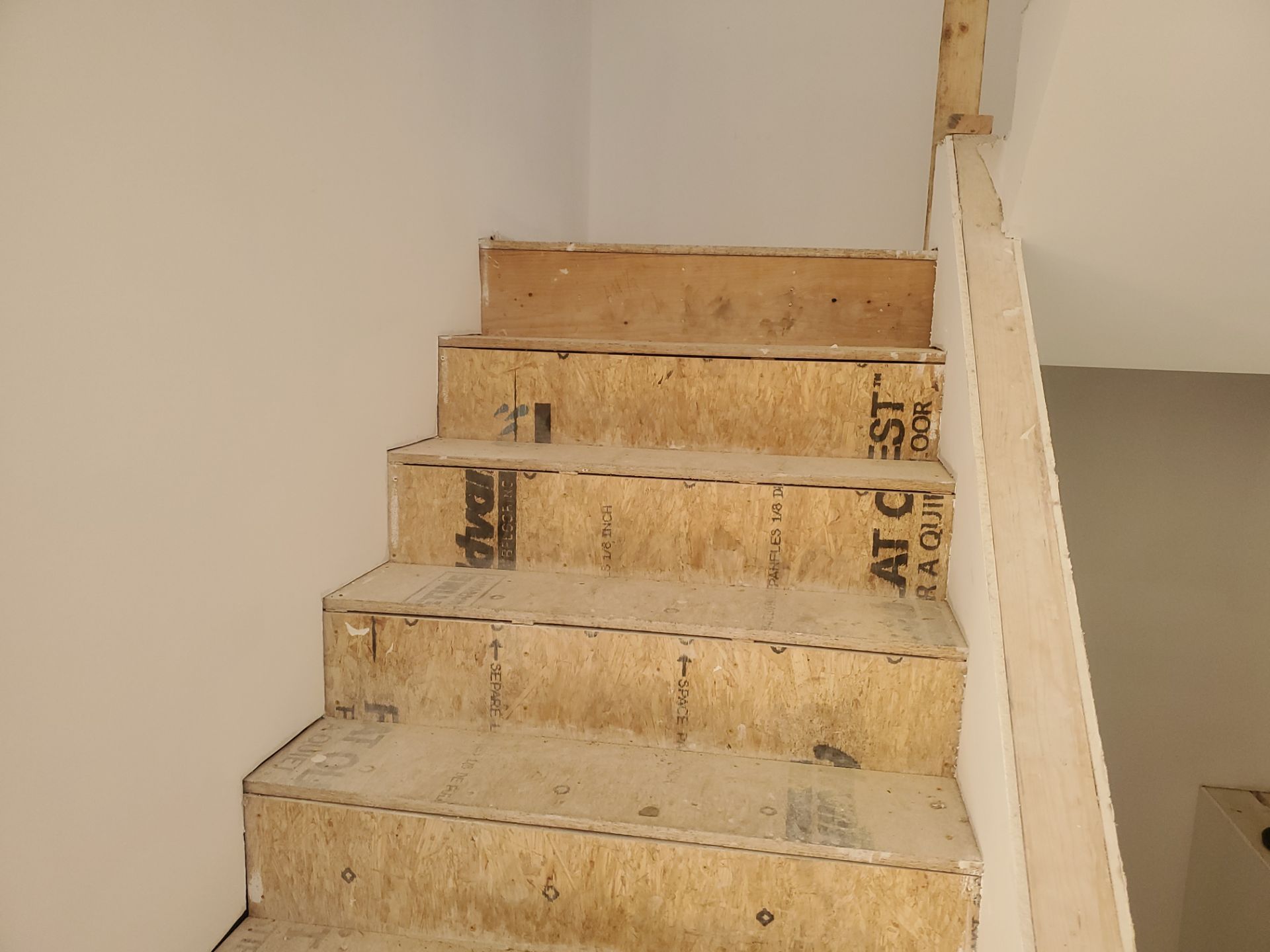 Full glue down Installation over radiant heat 7" Maple character grade by Ann Arbor Hardwoods 