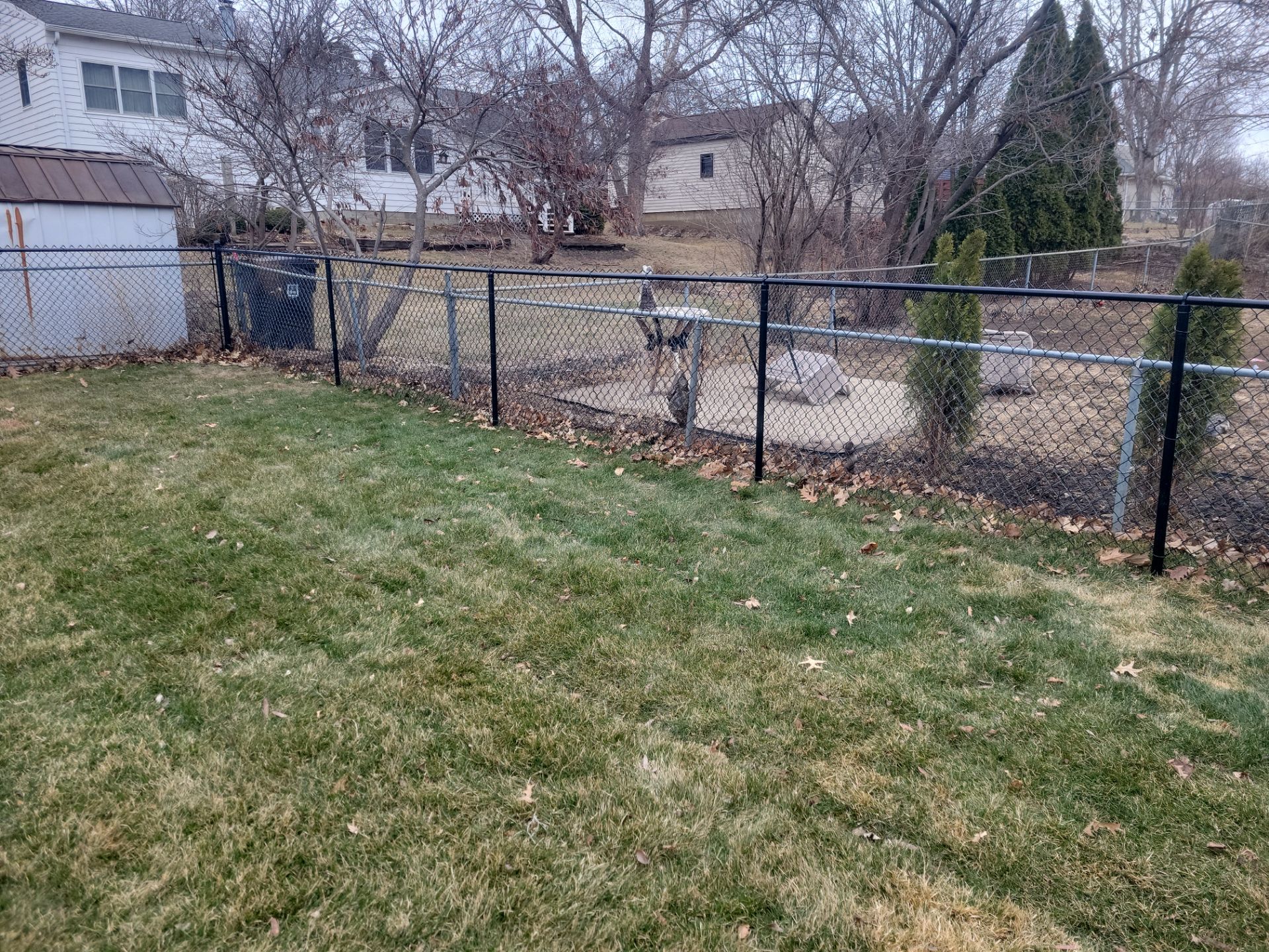 Black Chain Link Backyard Fence and Gate Installation in Cedar Falls by Perfect Picket Fence and Stain