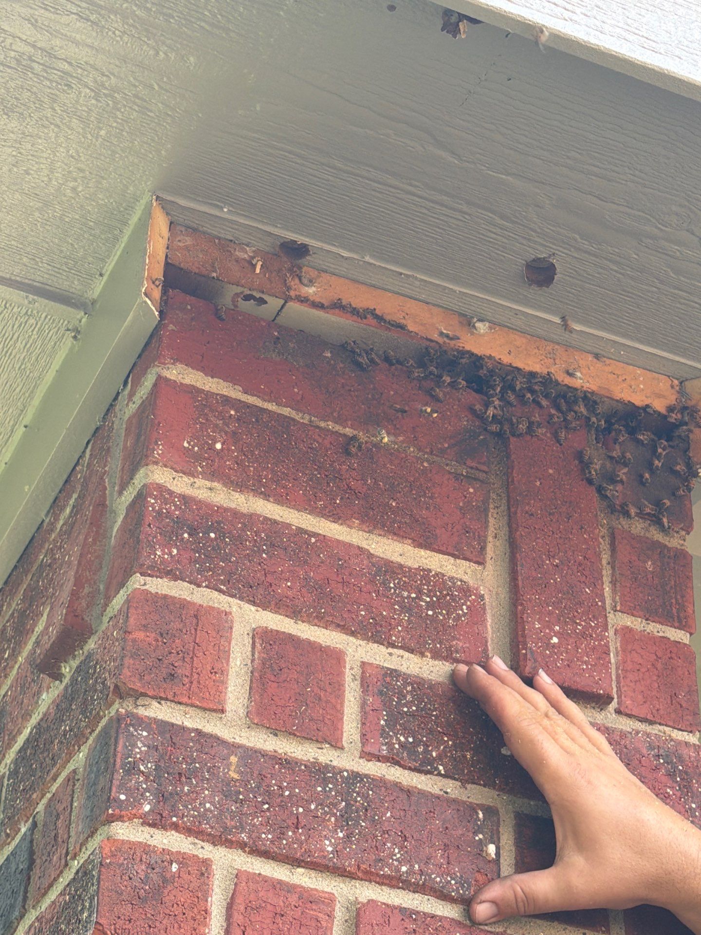 Brick Column by Rockwall Honey Bee Company