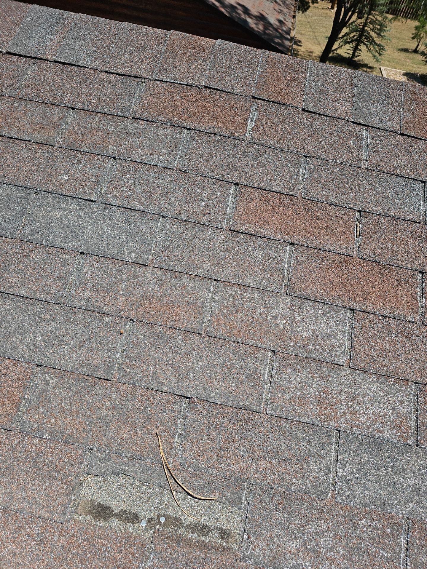 Malarkey Shingles in Arizona by Weather-Tite Exteriors LLC