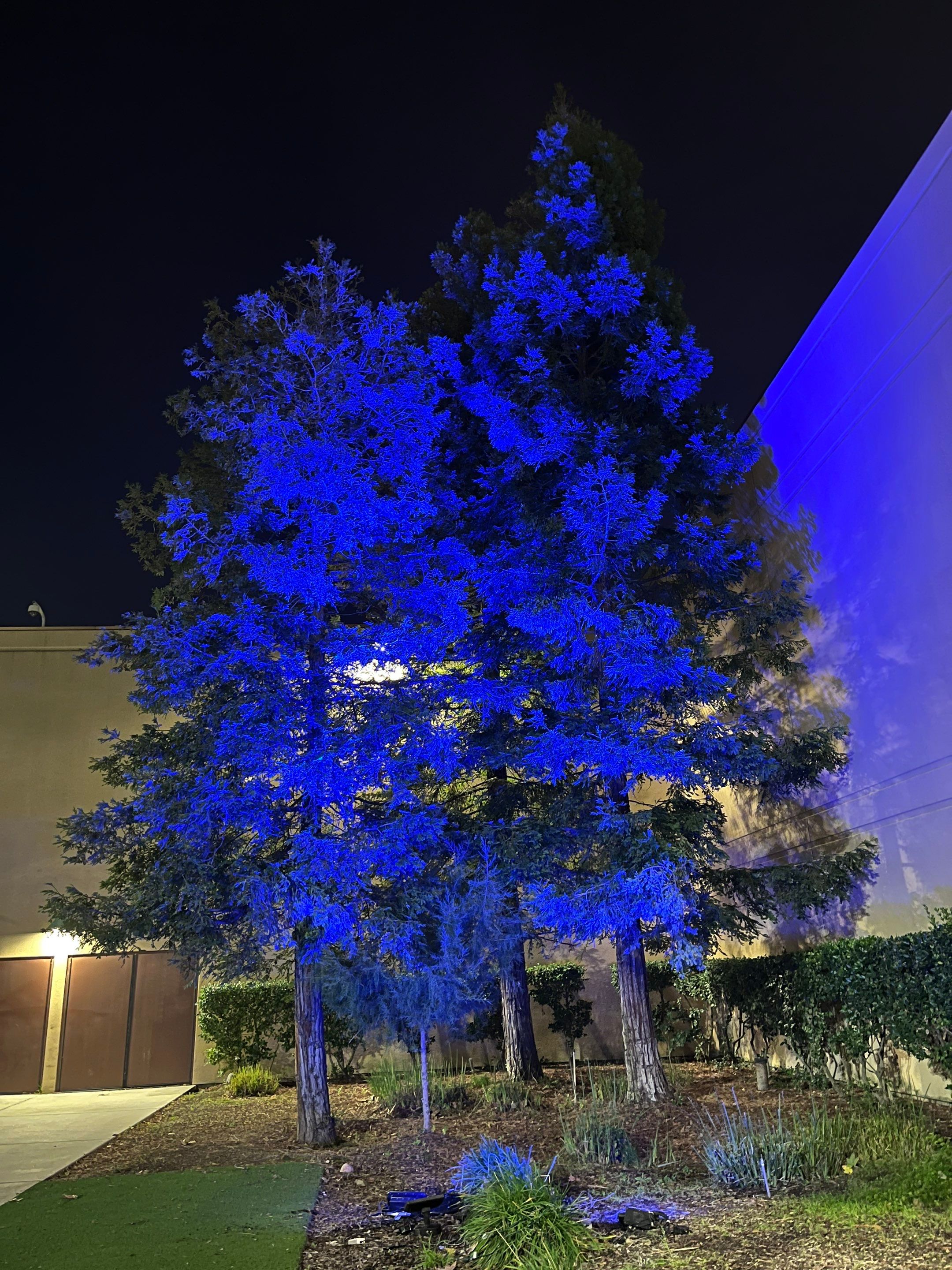 Chukchansi Casino by Kaylor Landscape inc.