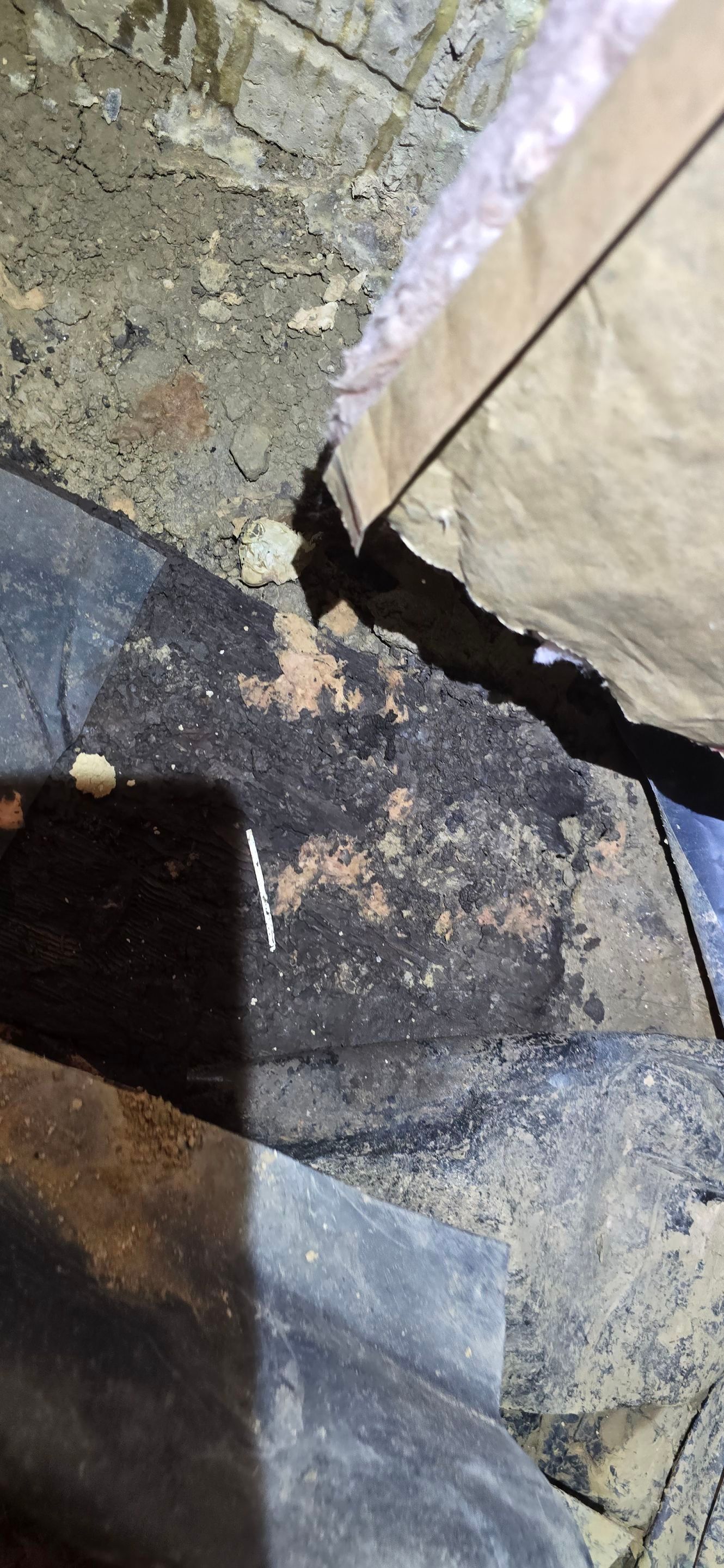 Crawl Space Encapsulation by Toledo Basement Repair