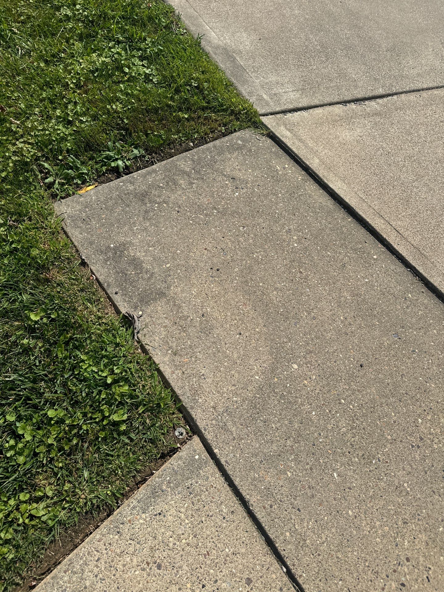 Walkway Project in Belle Vernon by Floors in a Day, Inc