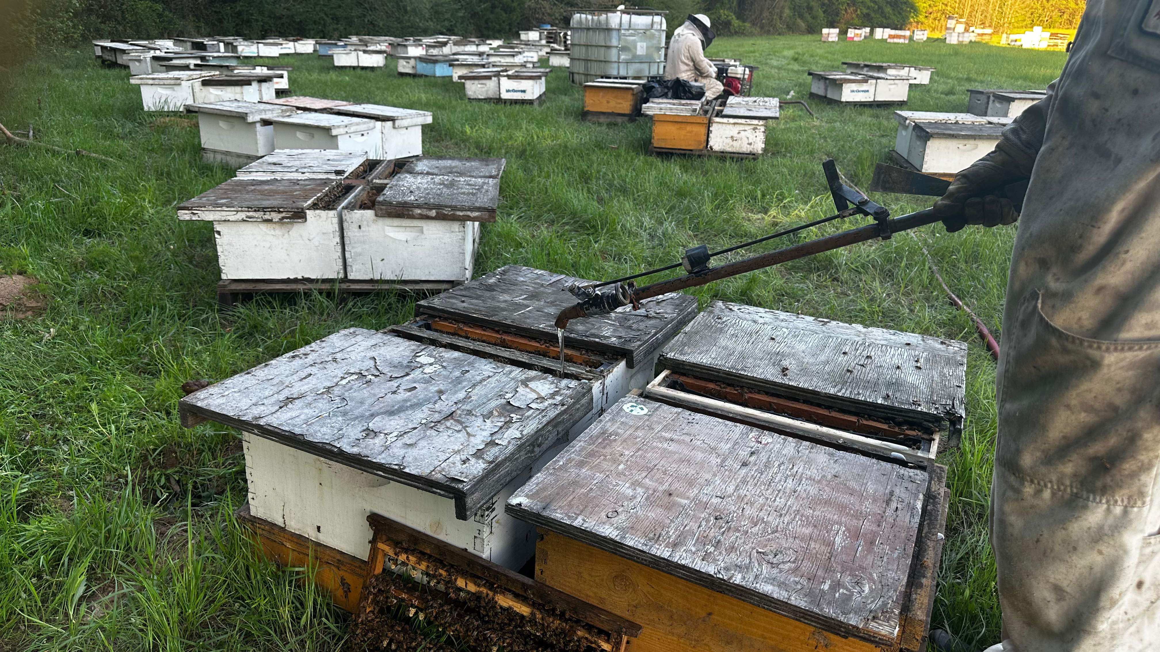 Traylor's Hay Meadow Apiary by Rockwall Honey Bee Company