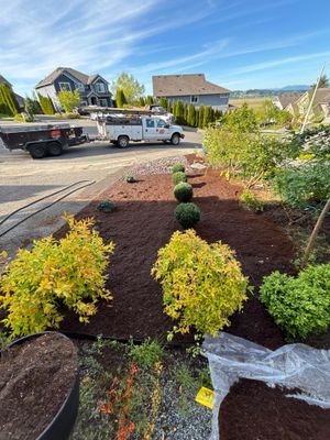 Front Yard Landscaping Makeover | Snohomish 