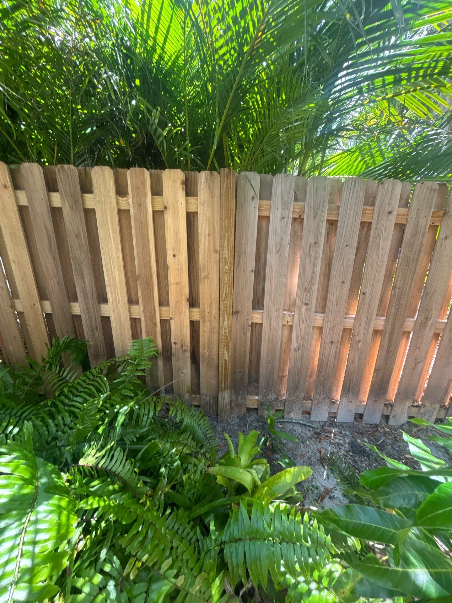 1824 Magnolia St  by H&Y Fence