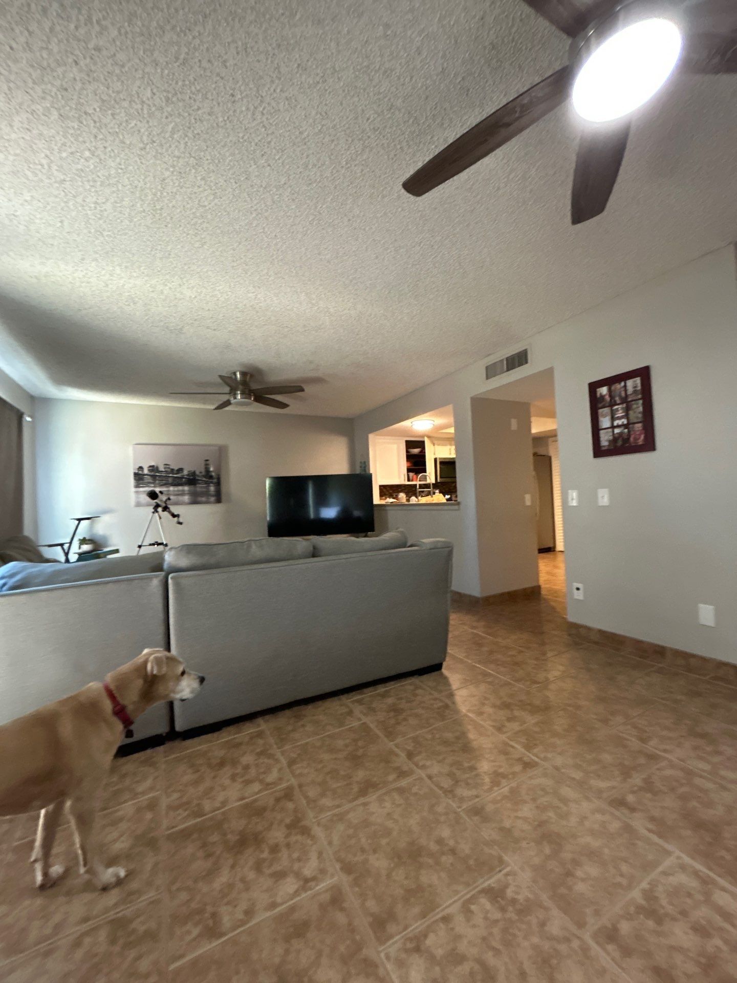 Glass Bead by CompanyCam Sales Demo