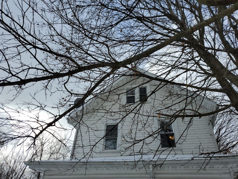 Tree Trimming using Tree Pruing by Mike Jones & Sons Tree Service LLC 